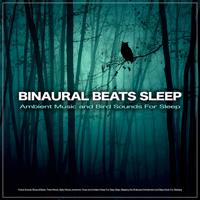 Binaural Beats Sleep - Music For Relaxation with Bird Sounds