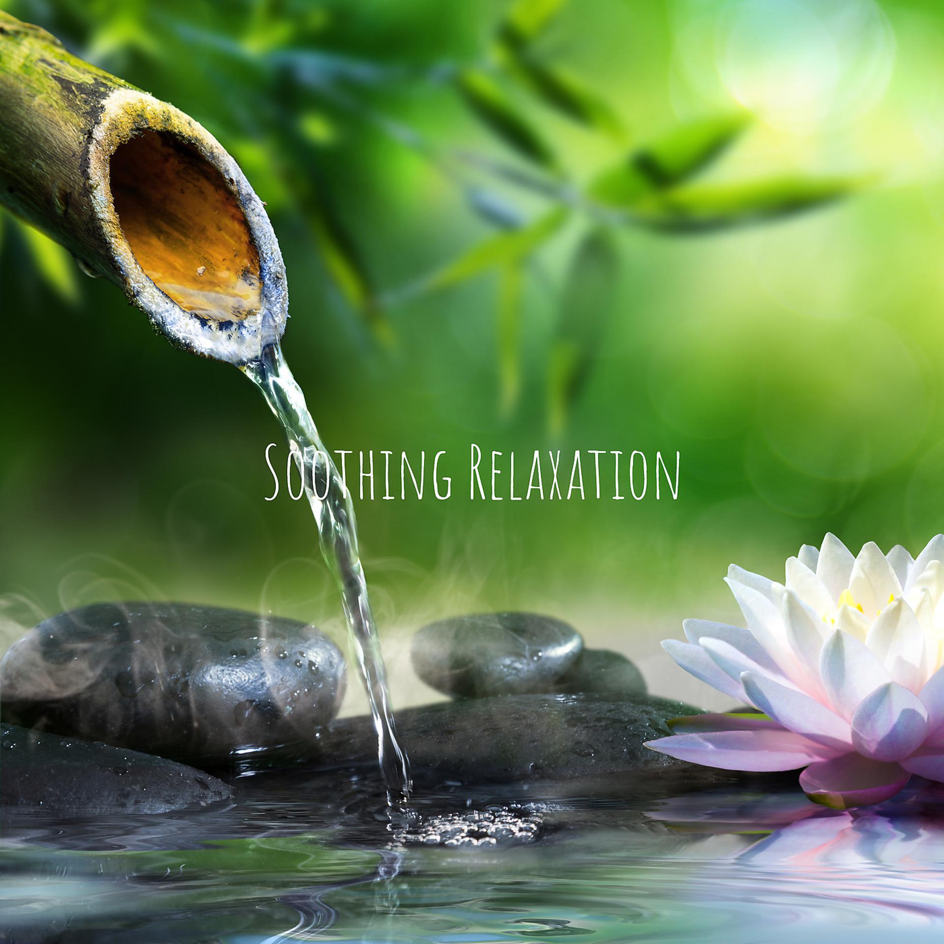 Постер альбома Soothing Relaxation
