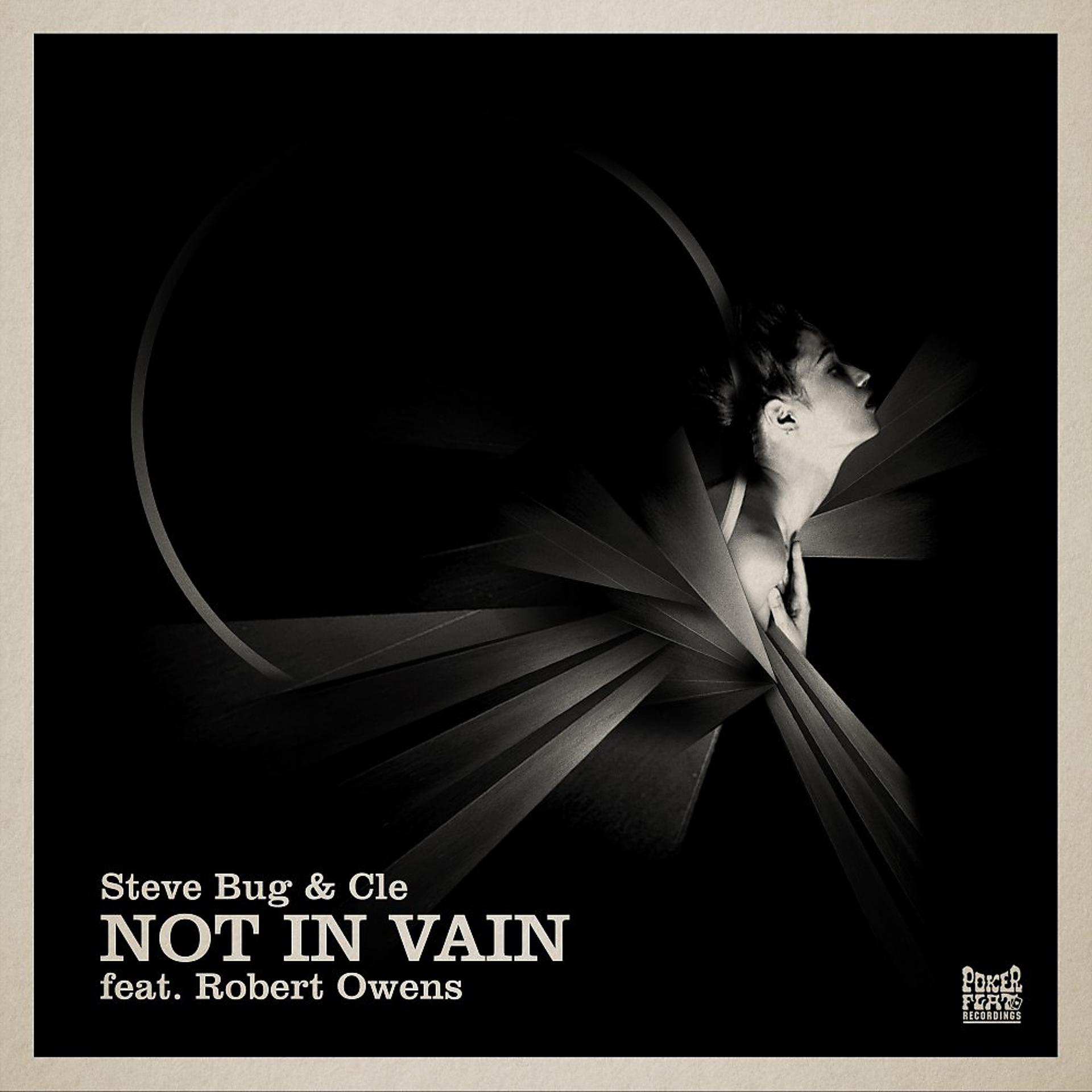 Постер альбома Not in Vain