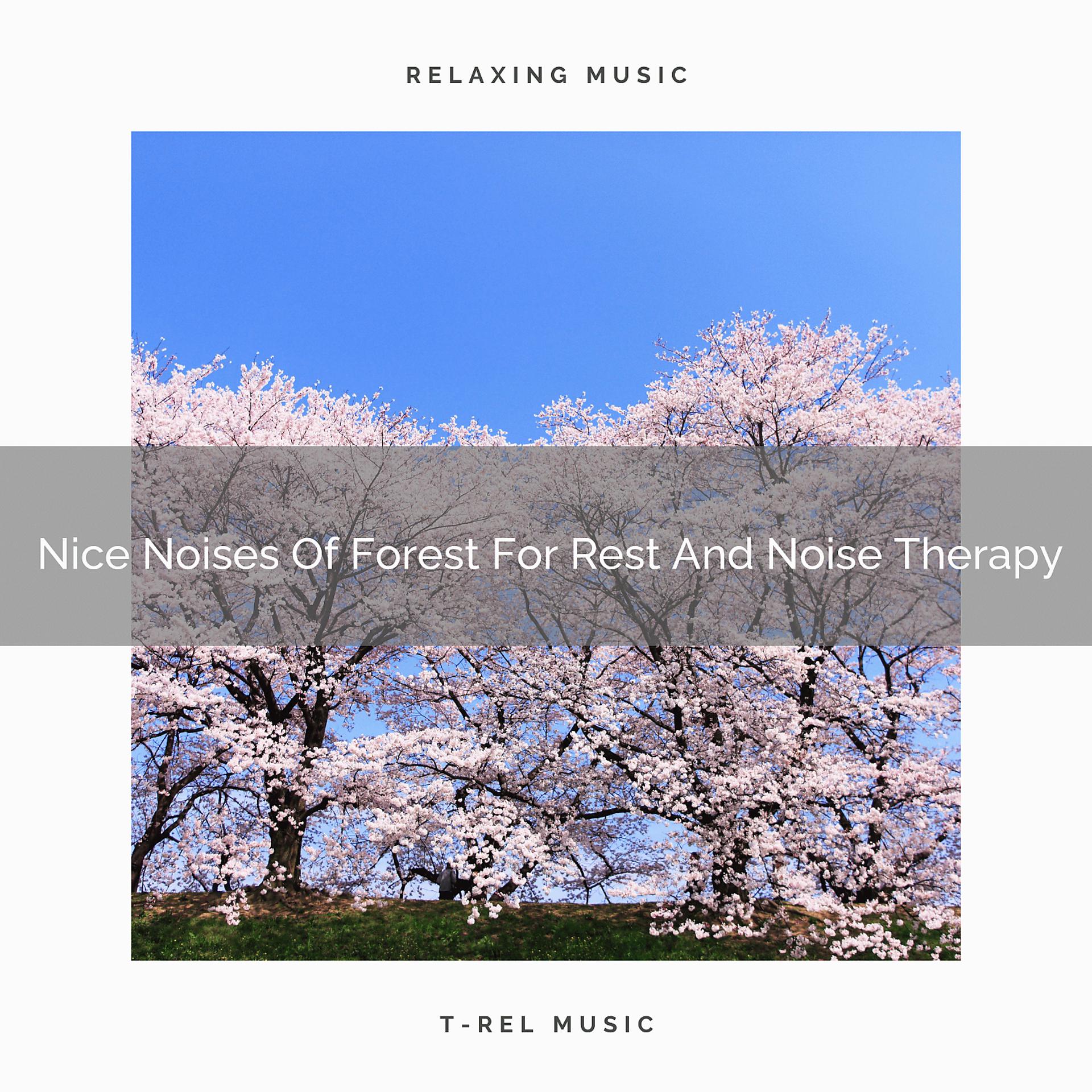 Постер альбома Nice Noises Of Forest For Rest And Noise Therapy