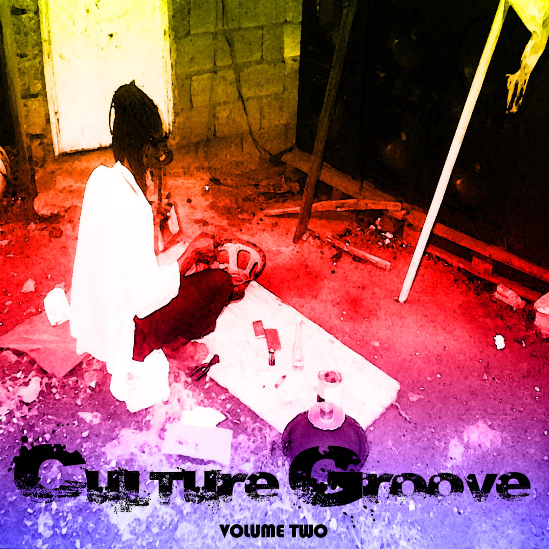 Постер альбома Culture Groove Vol 2 Platinum Edition
