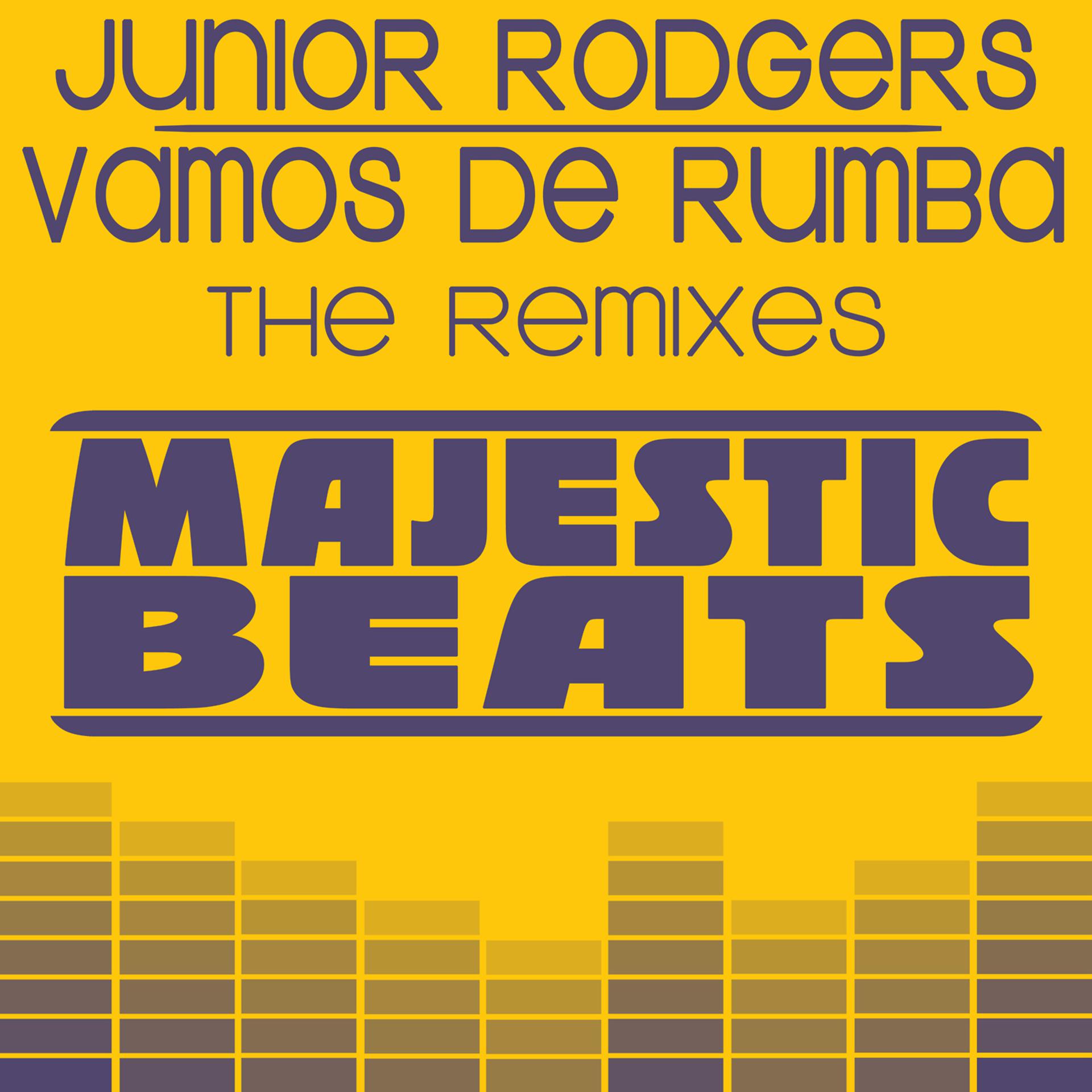 Постер альбома Vamos De Rumba the Remixes