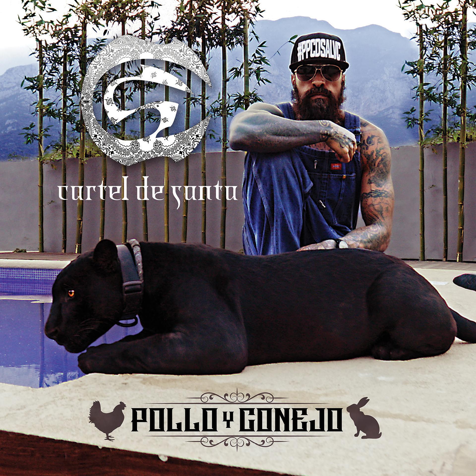 Постер альбома Pollo y Conejo