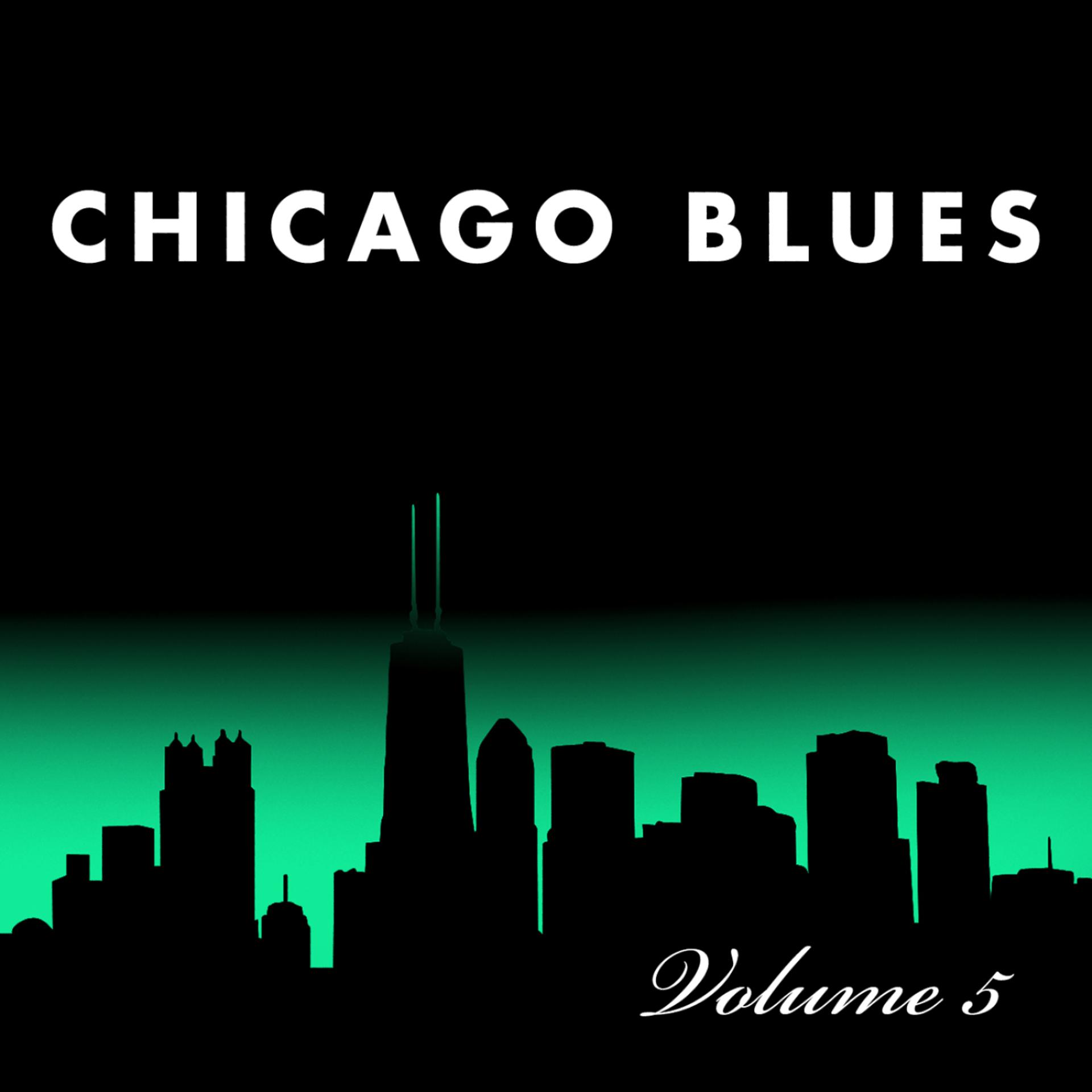 Постер альбома Chicago Blues, Vol. 5