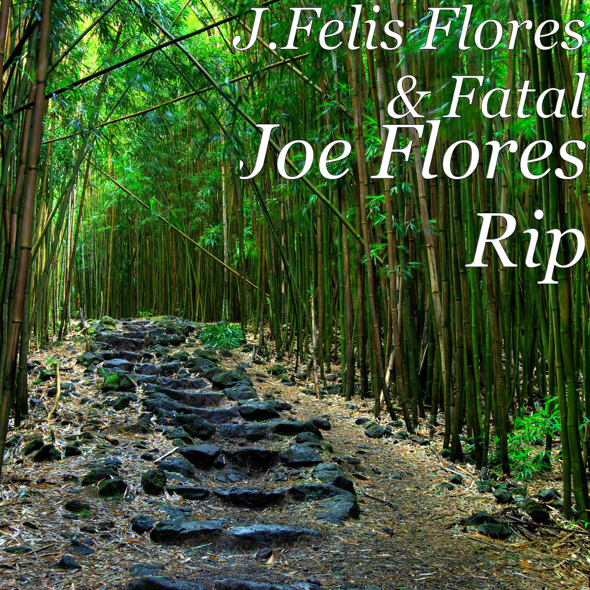Постер альбома Joe Flores Rip