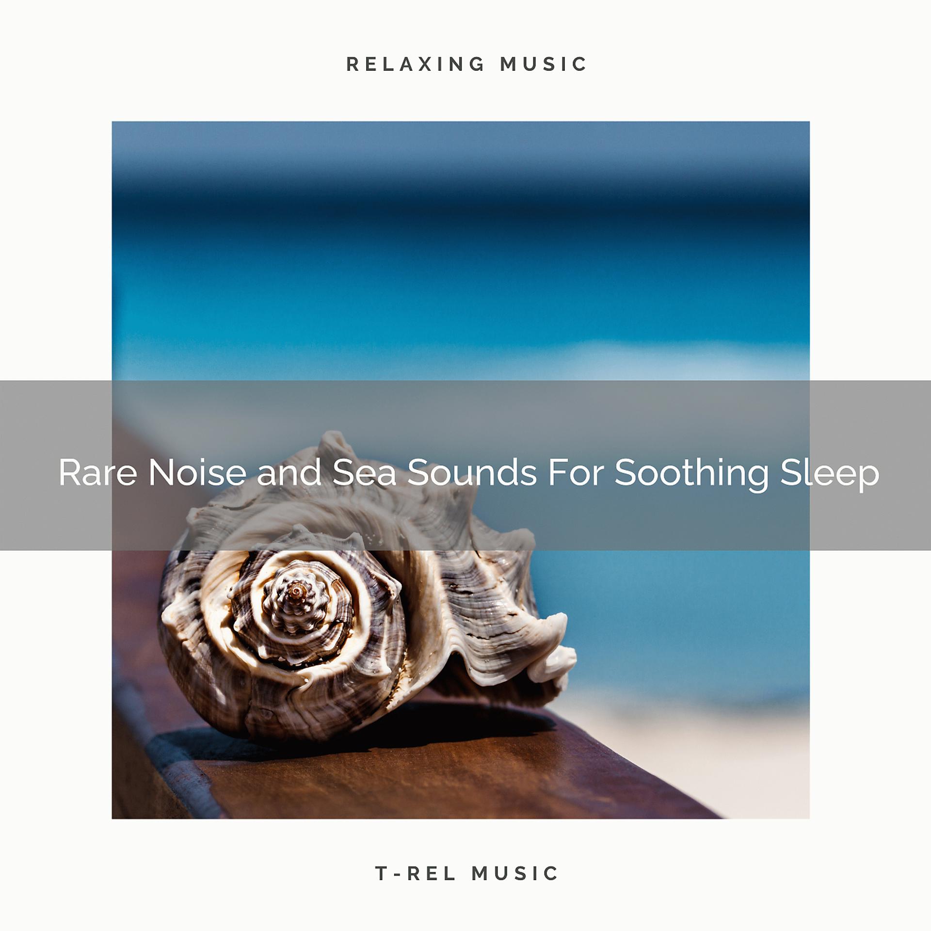 Постер альбома Rare Noise and Sea Sounds For Soothing Sleep