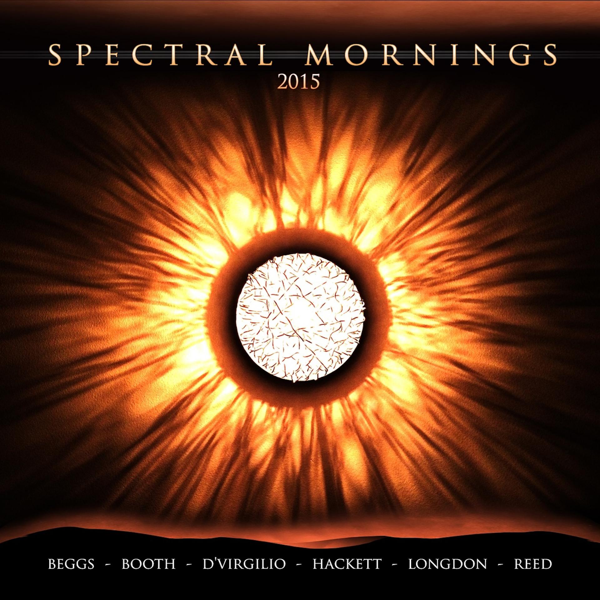 Постер альбома Spectral Mornings 2015