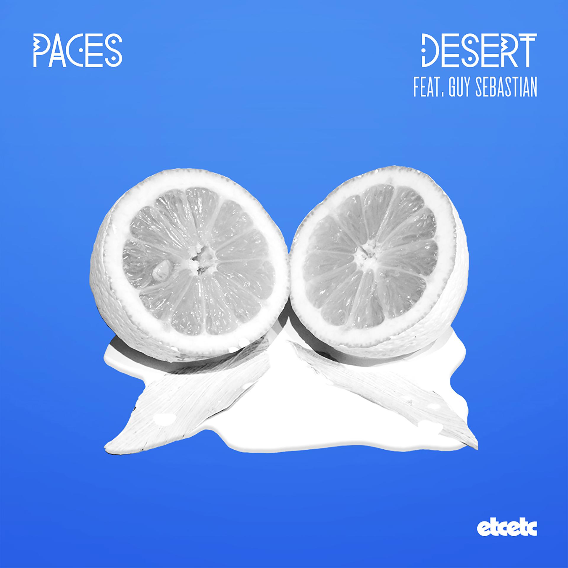 Постер альбома Desert (Remixes)