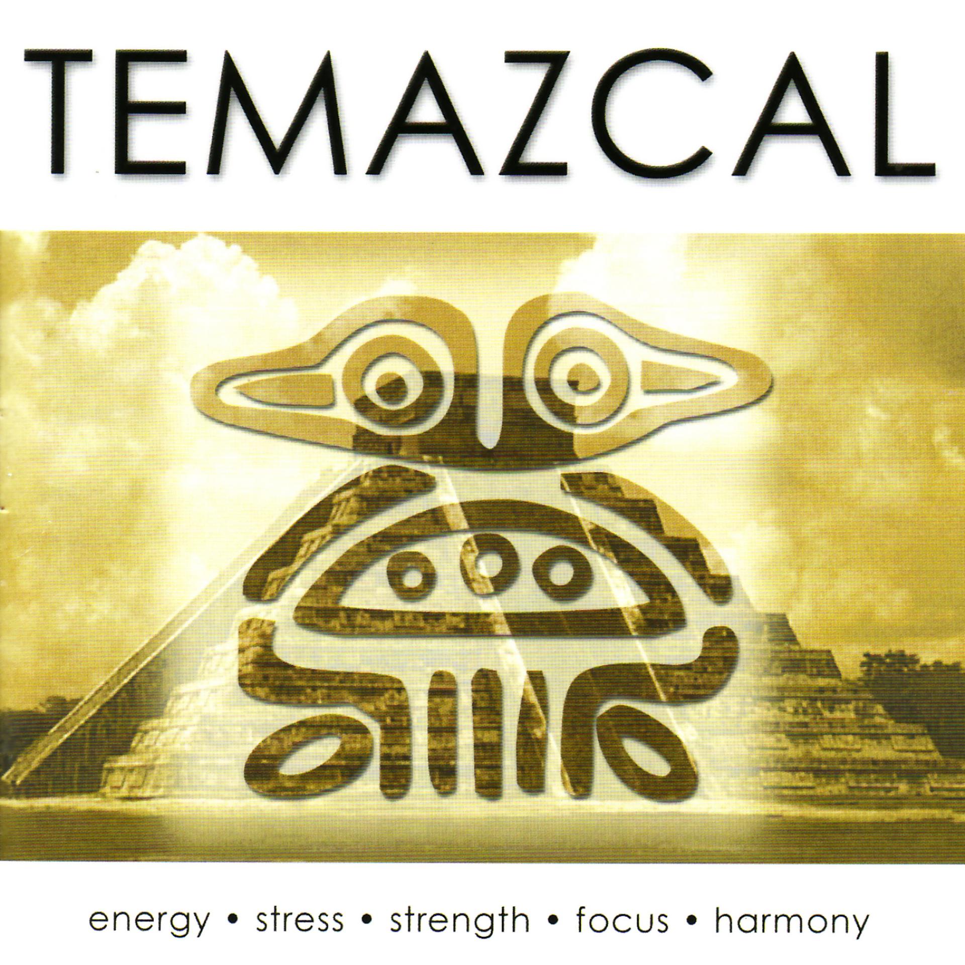 Постер альбома Temazcal