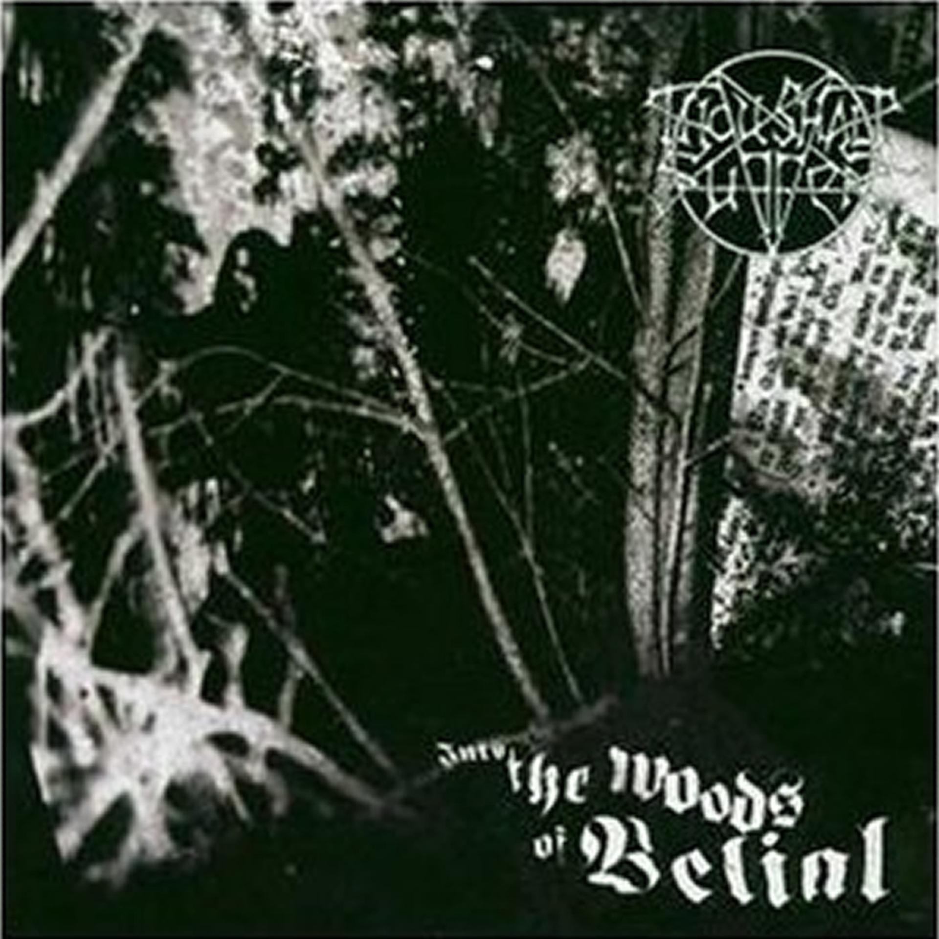 Постер альбома Into the Woods of Belial