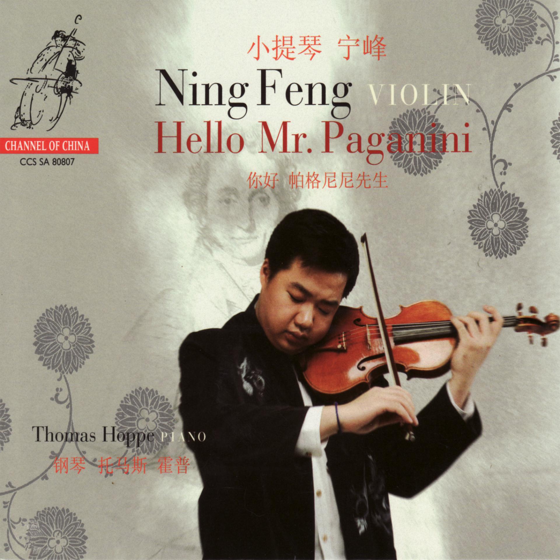 Постер альбома Paganini: Hello Mr. Paganini