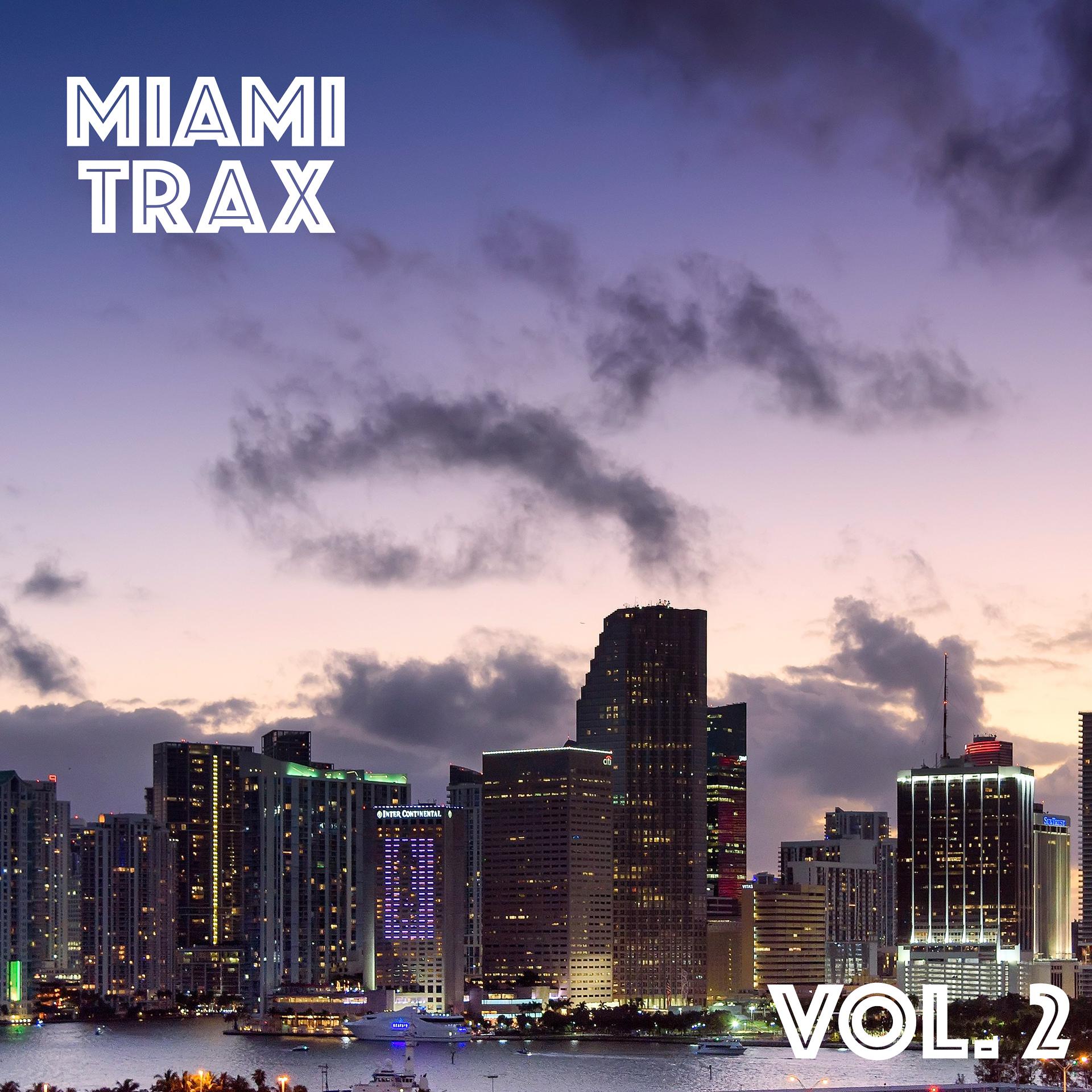 Постер альбома Miami Trax, Vol. 2