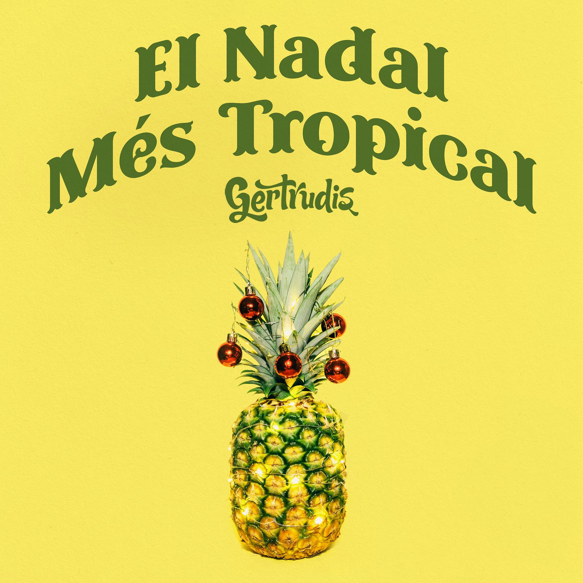 Постер альбома El Nadal Més Tropical 2020