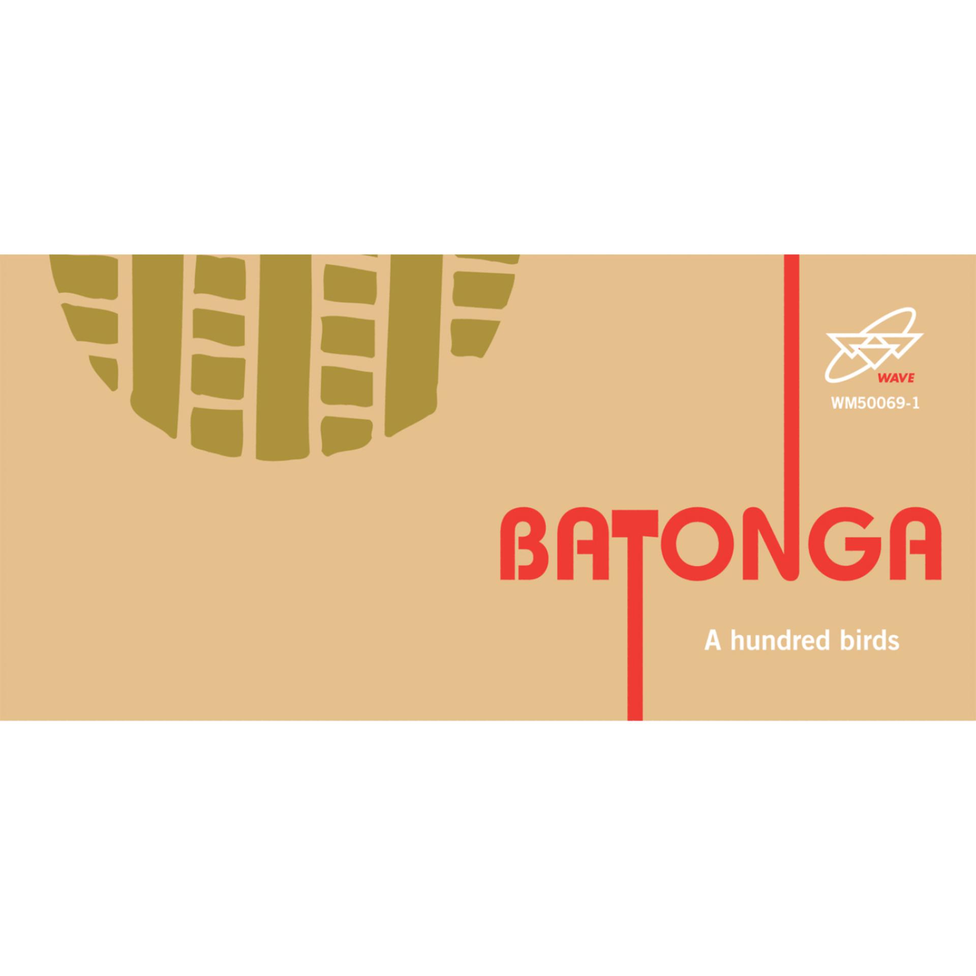 Постер альбома Batonga