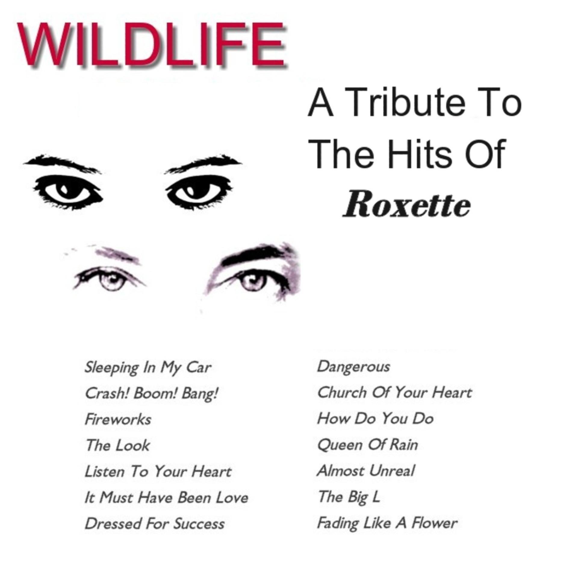 Постер альбома A Tribute To The Hits of Roxette