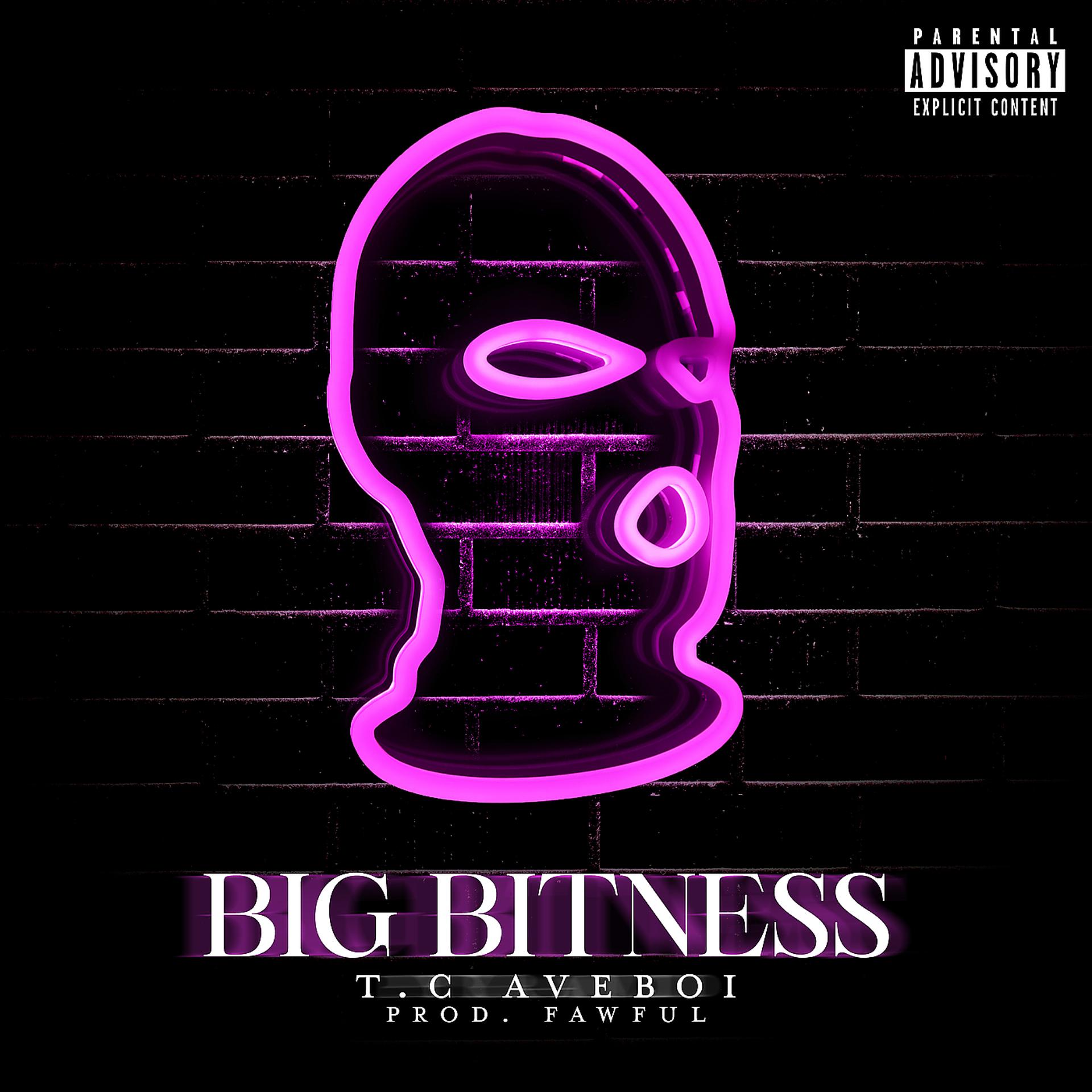 Постер альбома Big Bitness