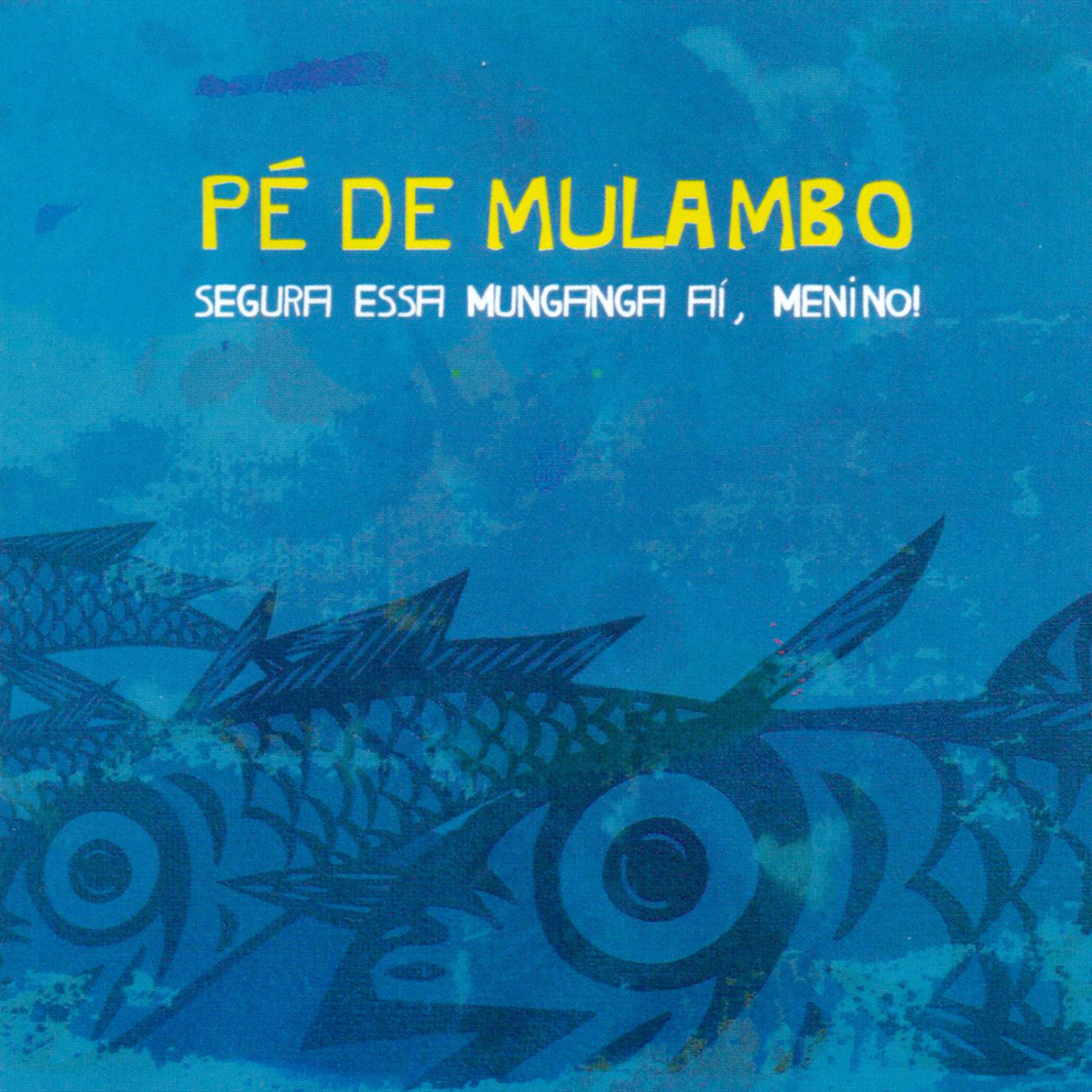 Постер альбома Pé de Mulambo