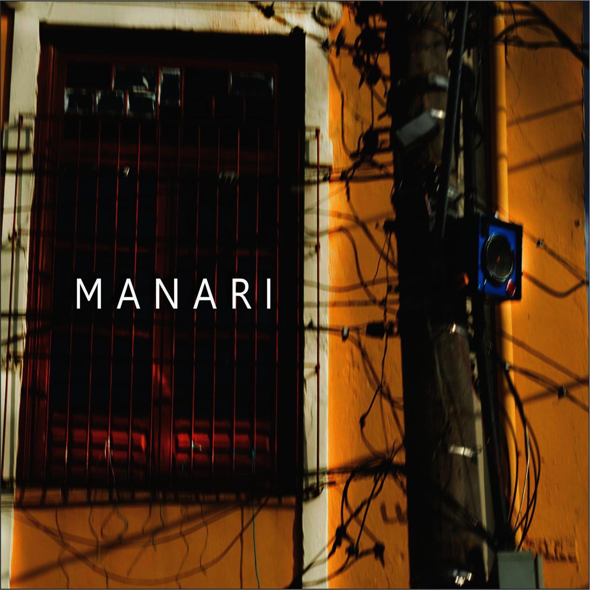 Постер альбома Manari