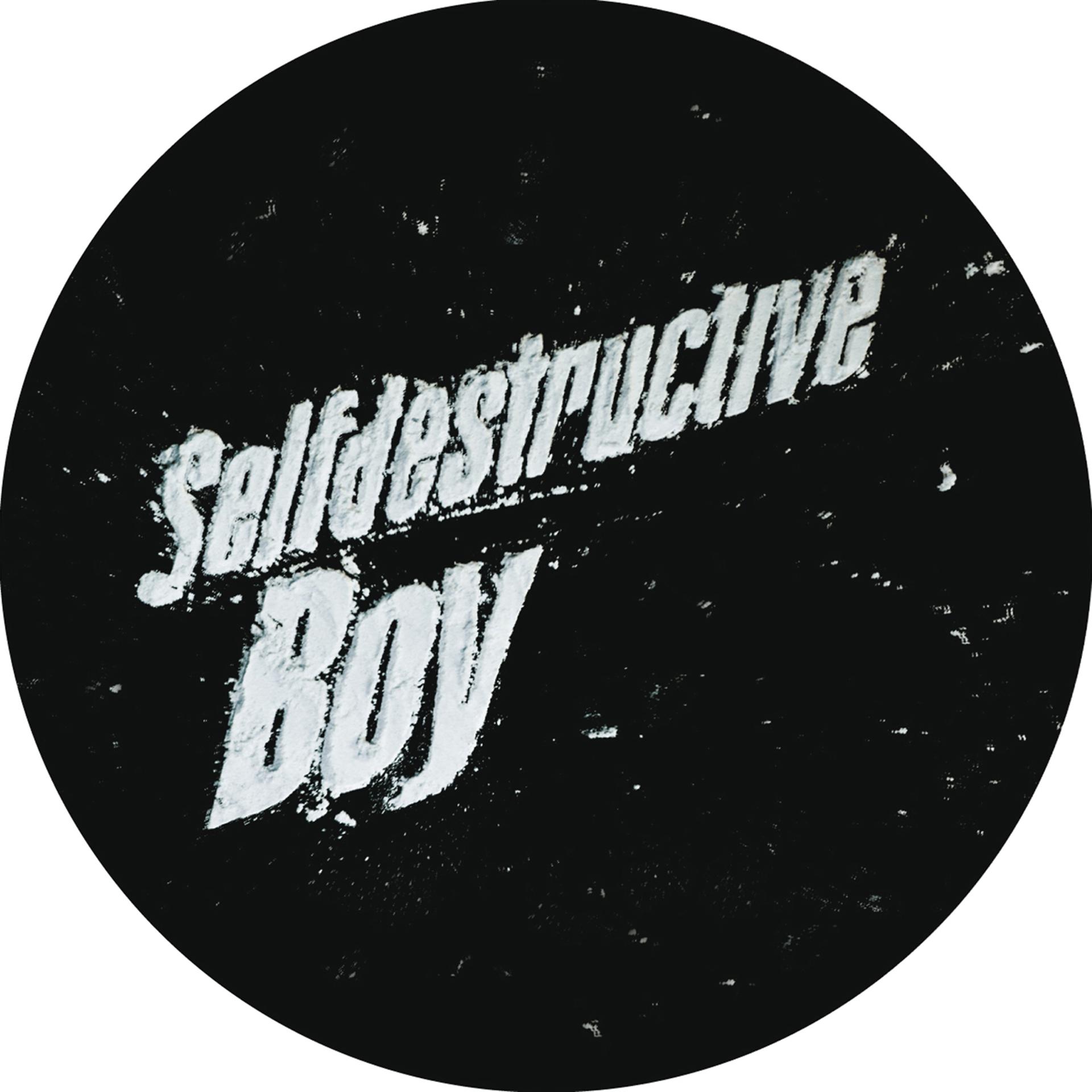 Постер альбома Selfdestructive Boy