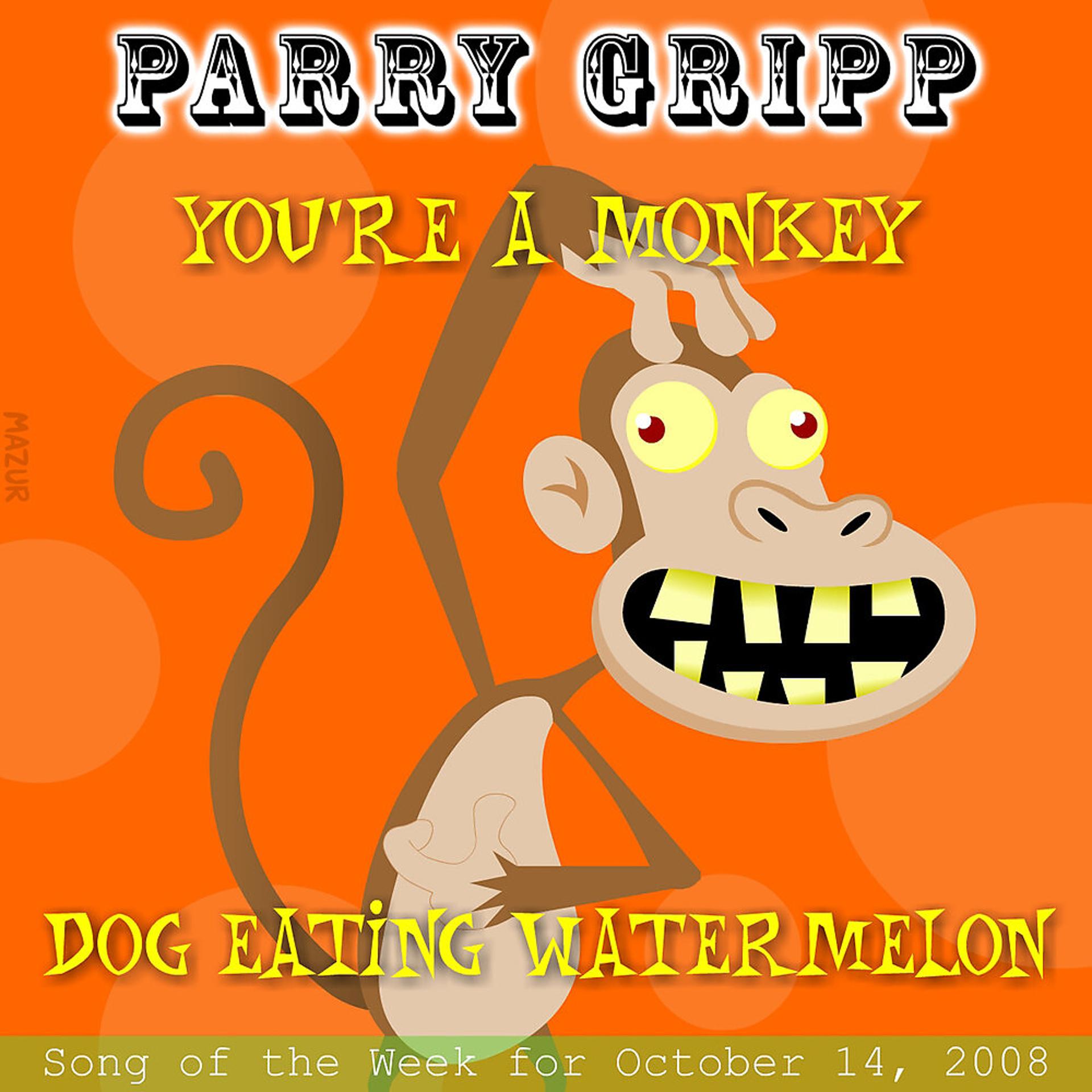Постер альбома You're A Monkey: Parry Gripp Song of the Week for November 4, 2008 - Single