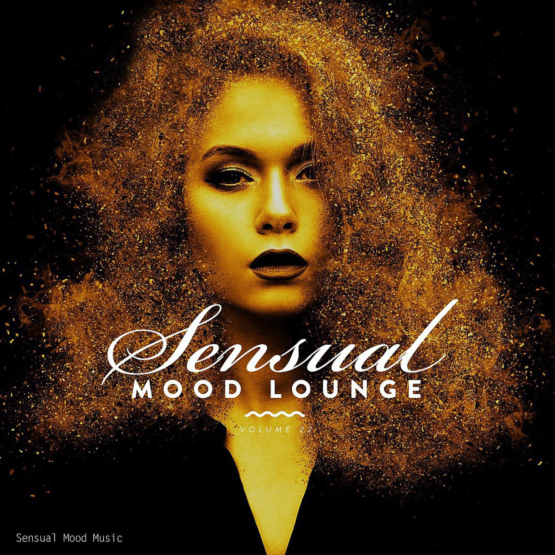 Постер альбома Sensual Mood Lounge, Vol. 22