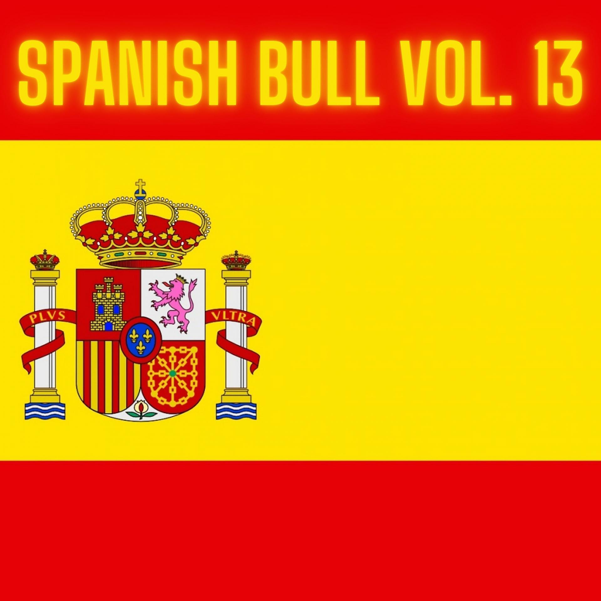 Постер альбома Spanish Bull Vol. 13