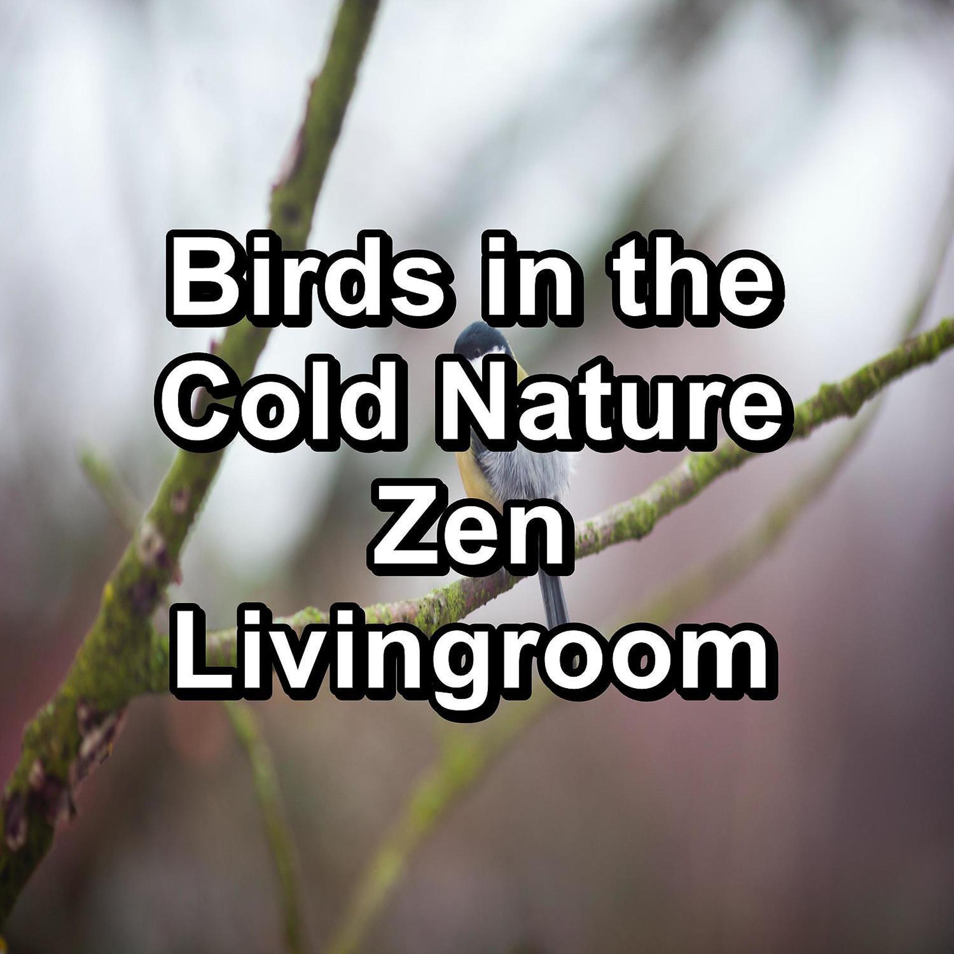 Постер альбома Birds in the Cold Nature Zen Livingroom