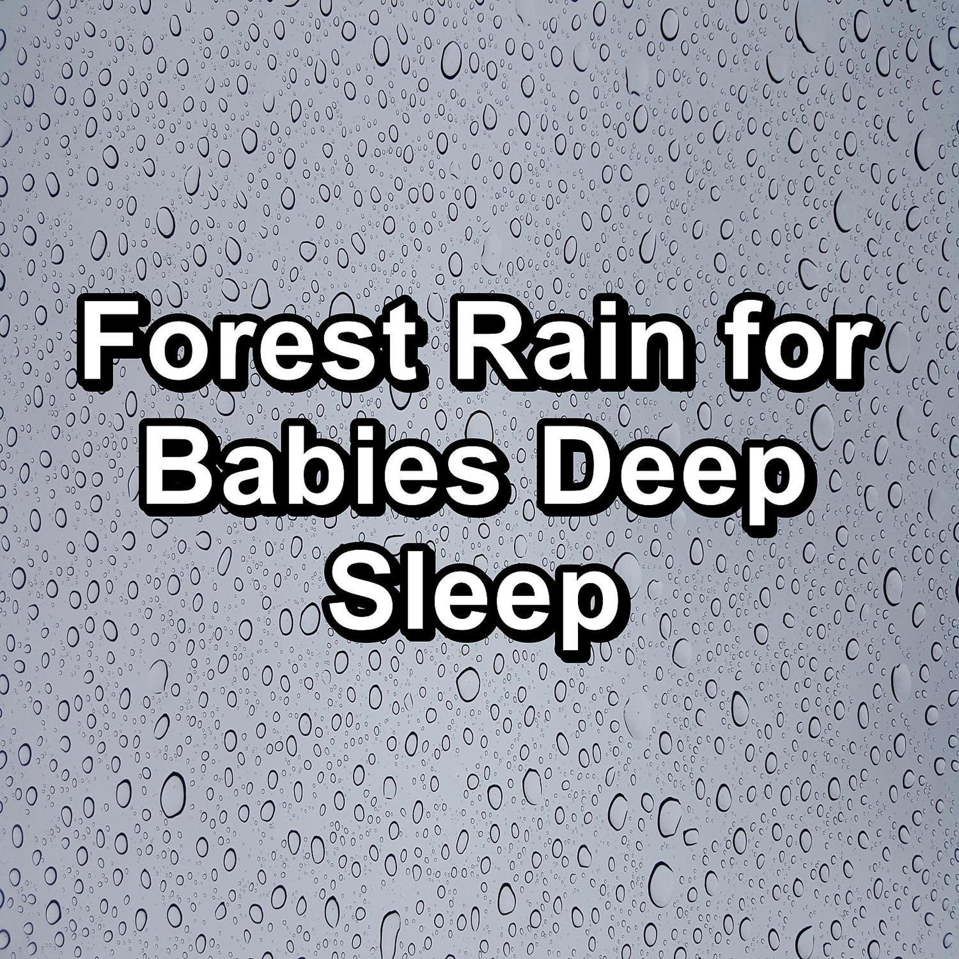 Постер альбома Forest Rain for Babies Deep Sleep