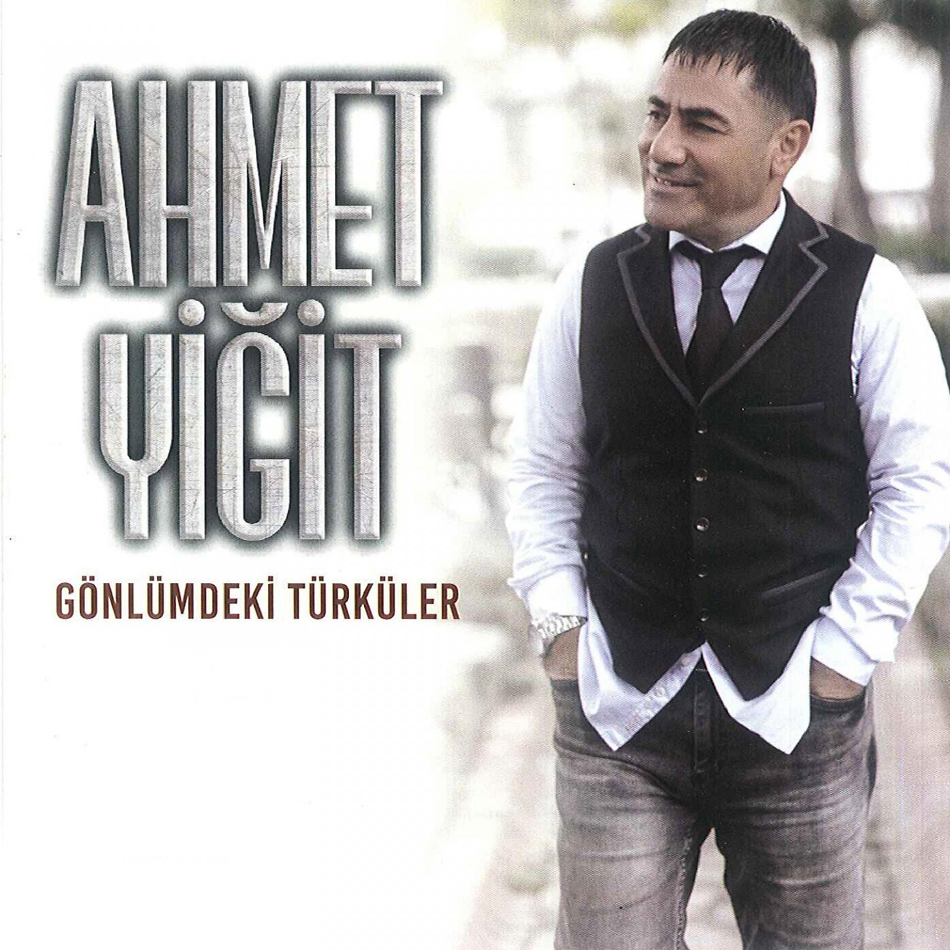 Постер альбома Gönlümdeki Türküler