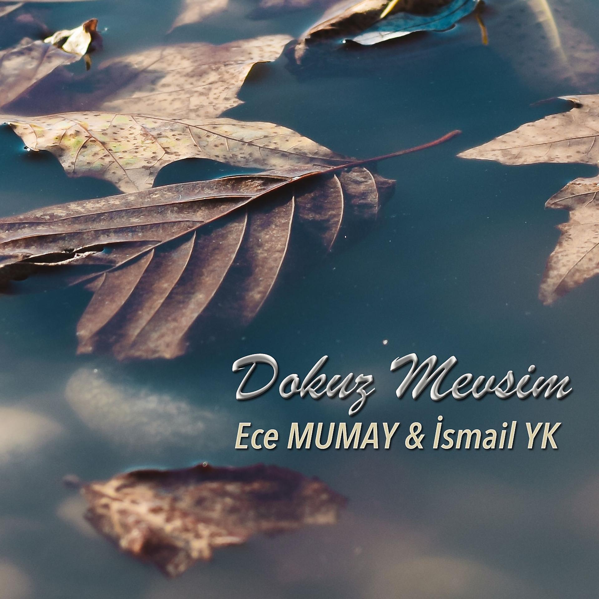 Постер альбома Dokuz Mevsim