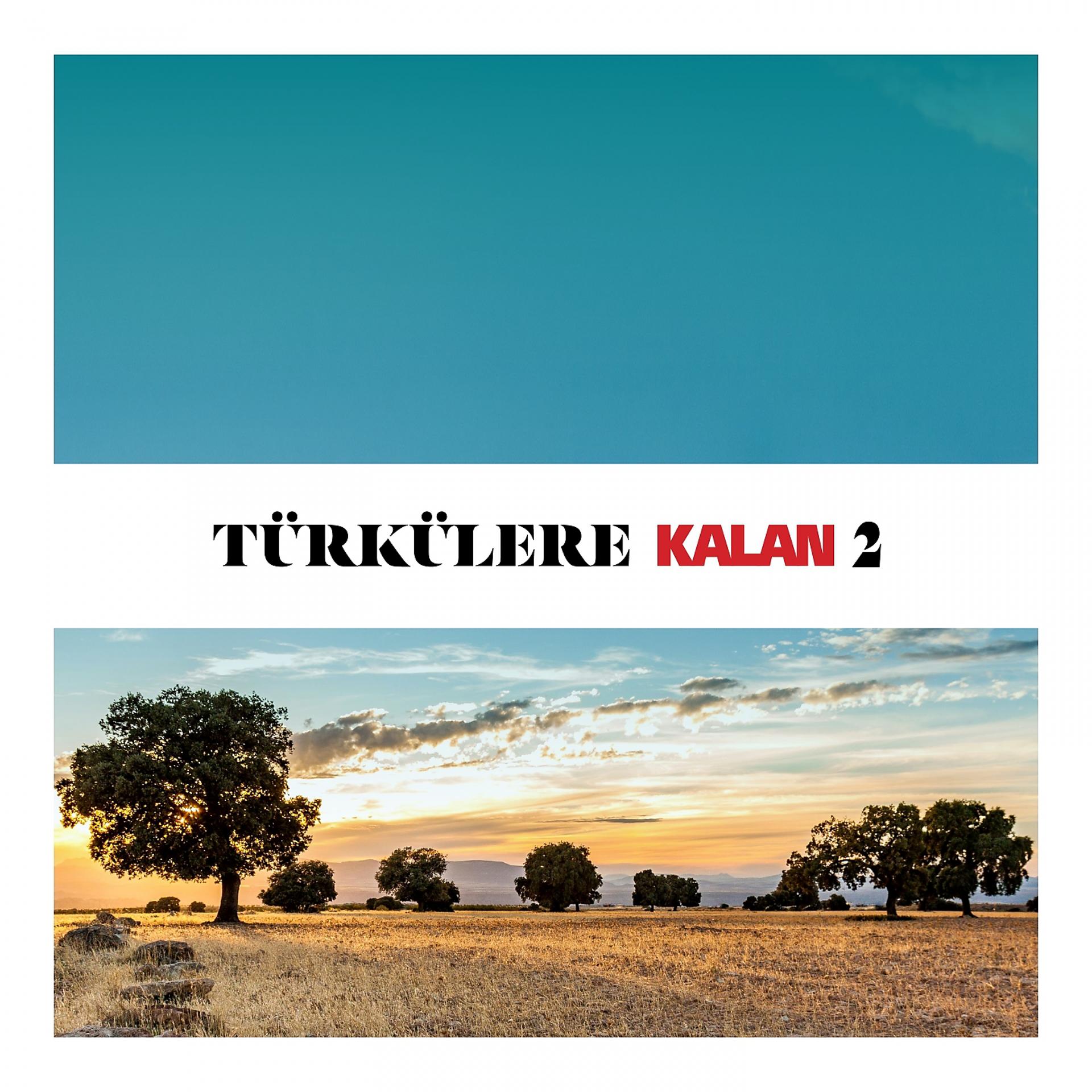 Постер альбома Türkülere Kalan, Vol. 2