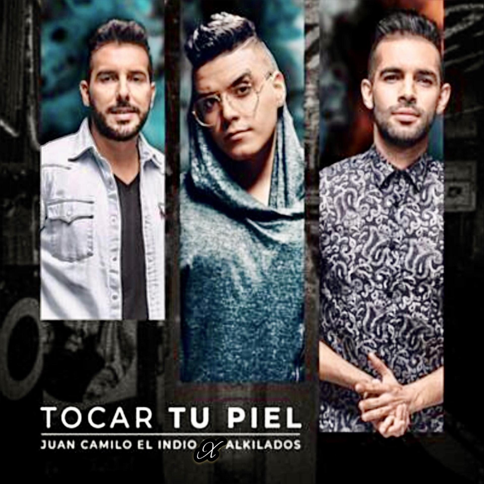 Постер альбома Tocar Tu Piel (Remix)