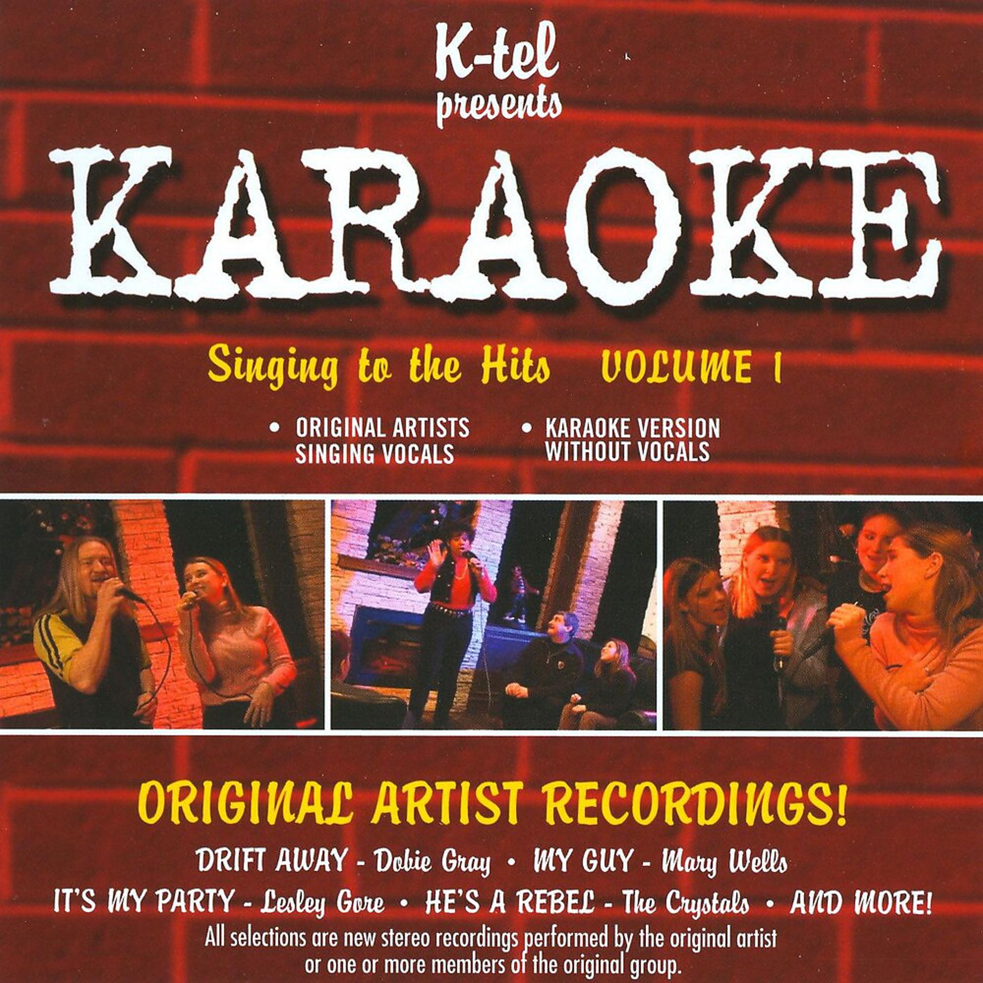 Постер альбома Karaoke: Volume 1 - Singing to the Hits
