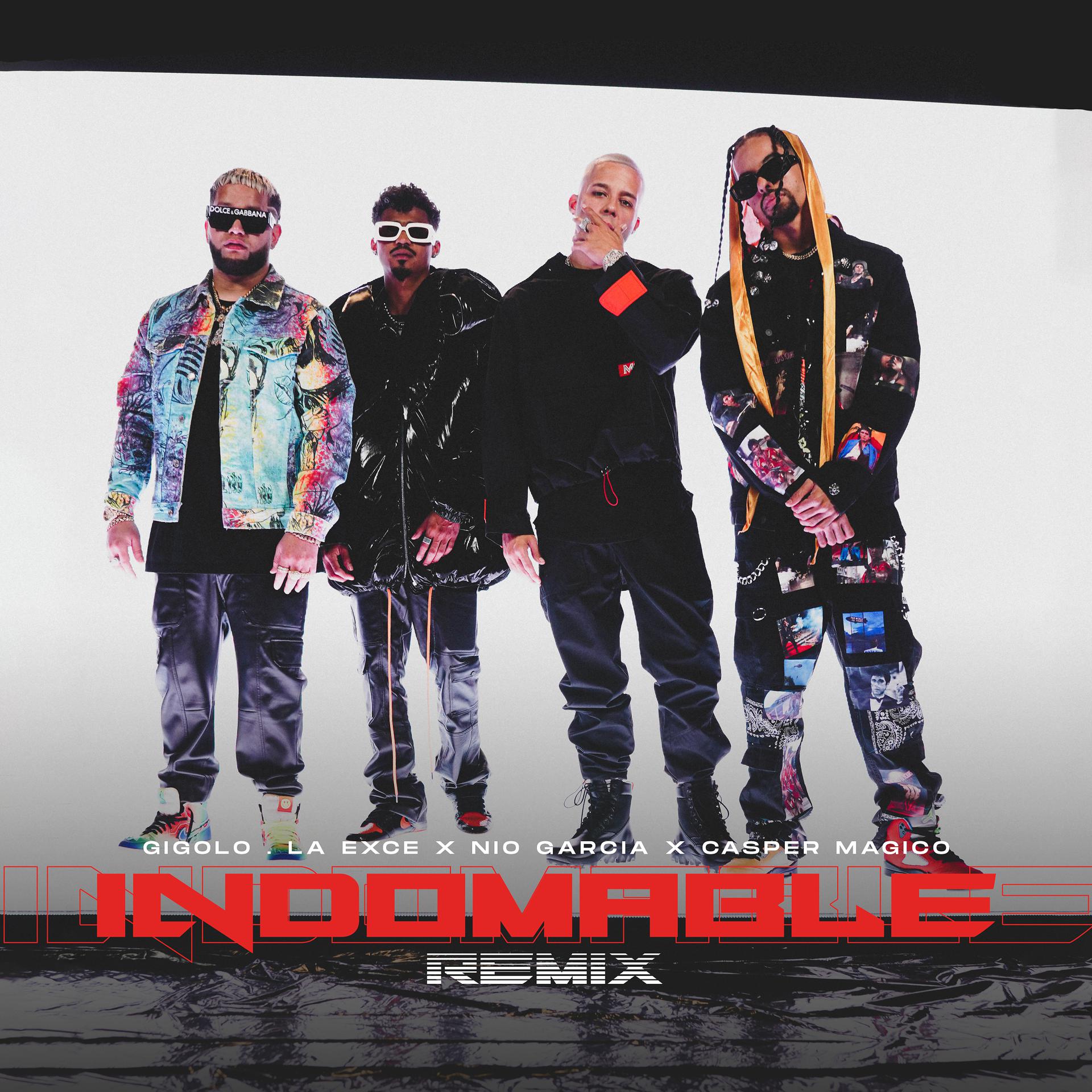 Постер альбома Indomable (Remix)