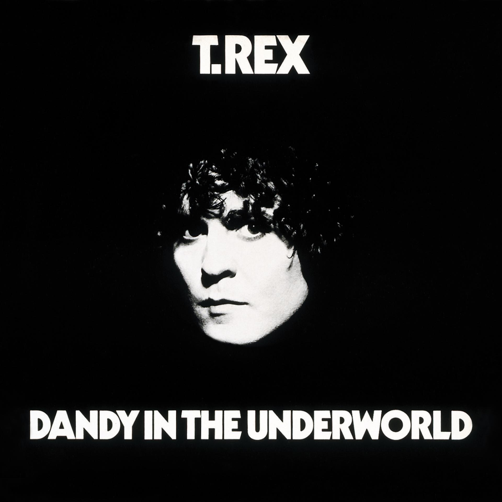 Постер альбома Dandy In The Underworld