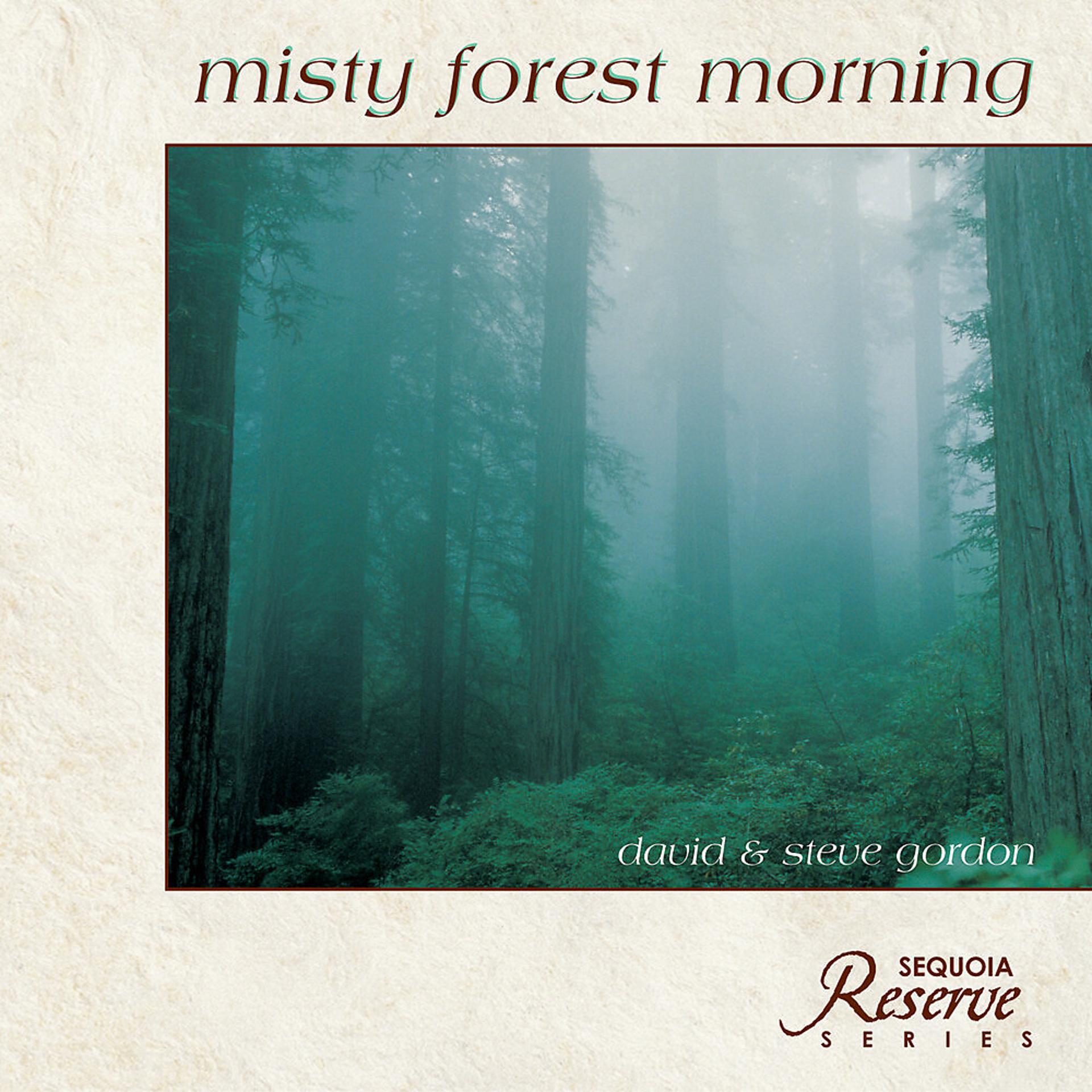 Постер альбома Misty Forest Morning