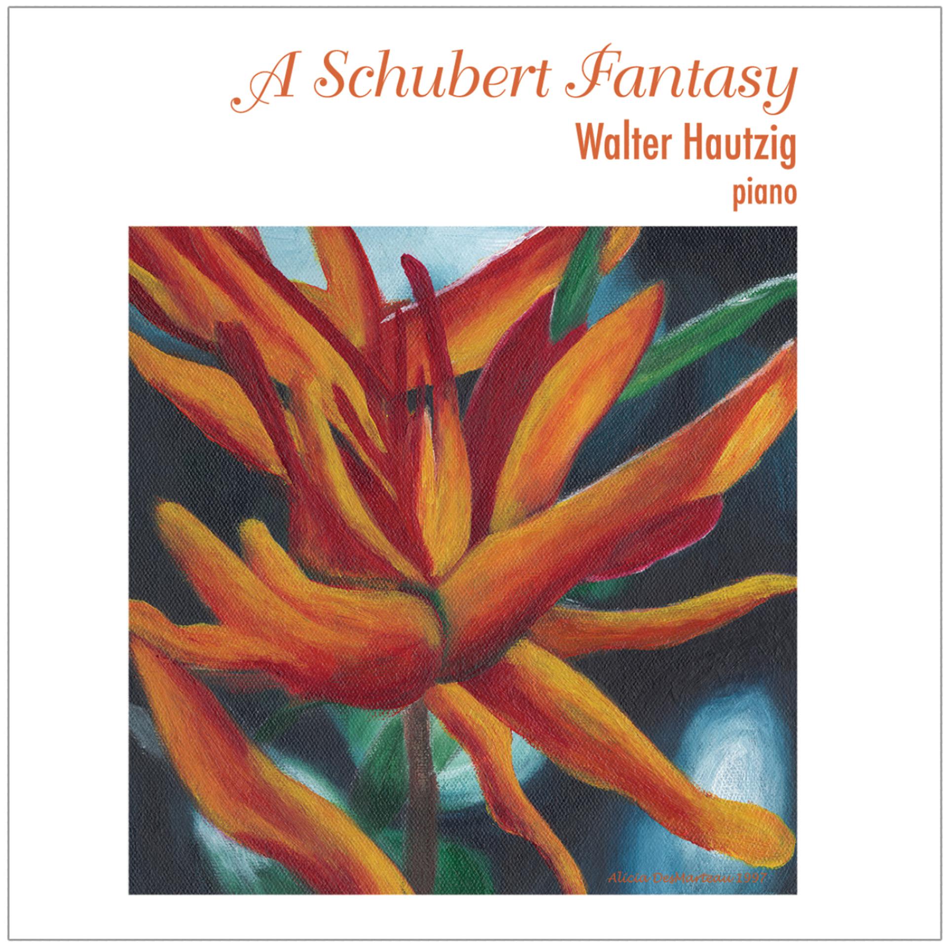 Постер альбома A Schubert Fantasy