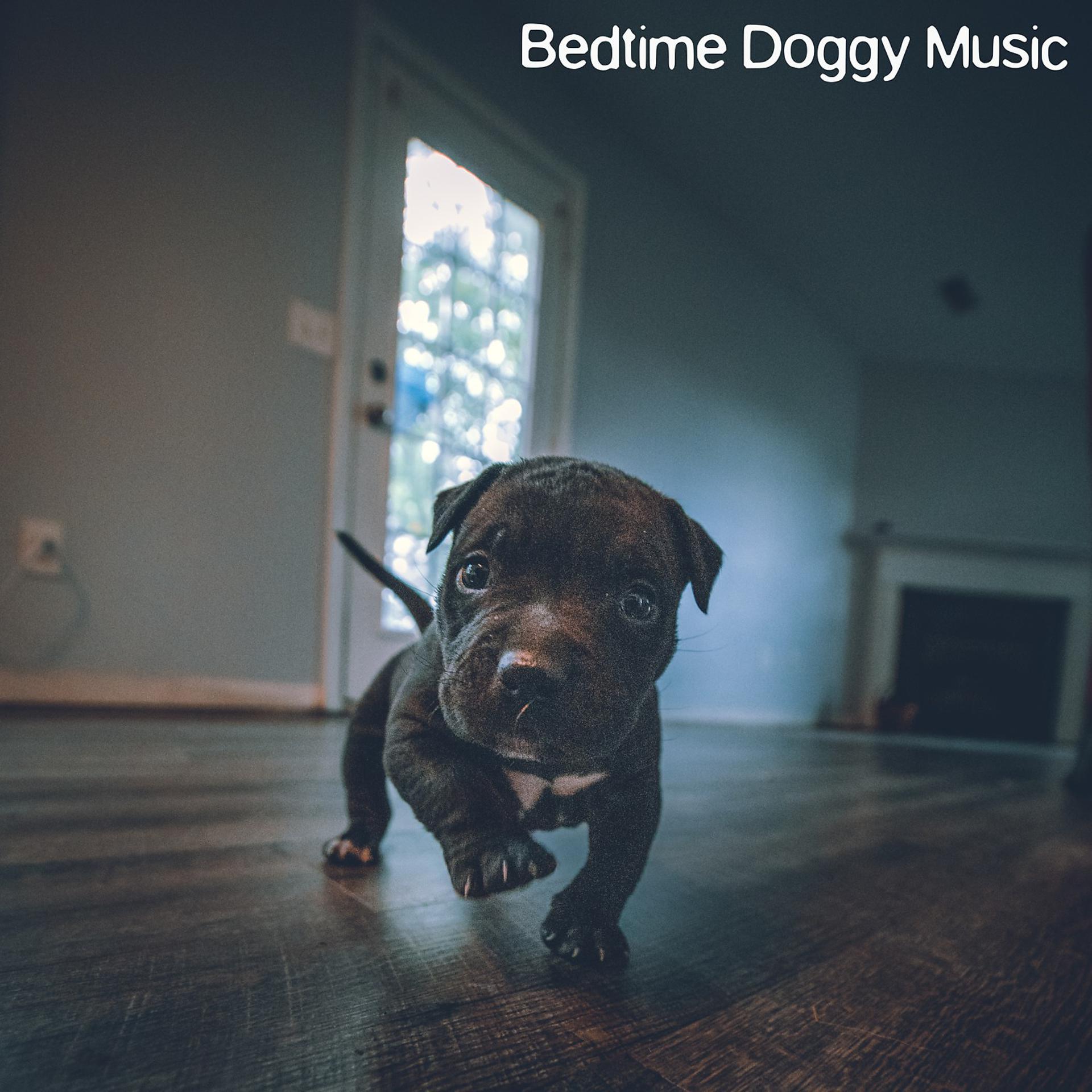 Постер альбома Bedtime Doggy Music