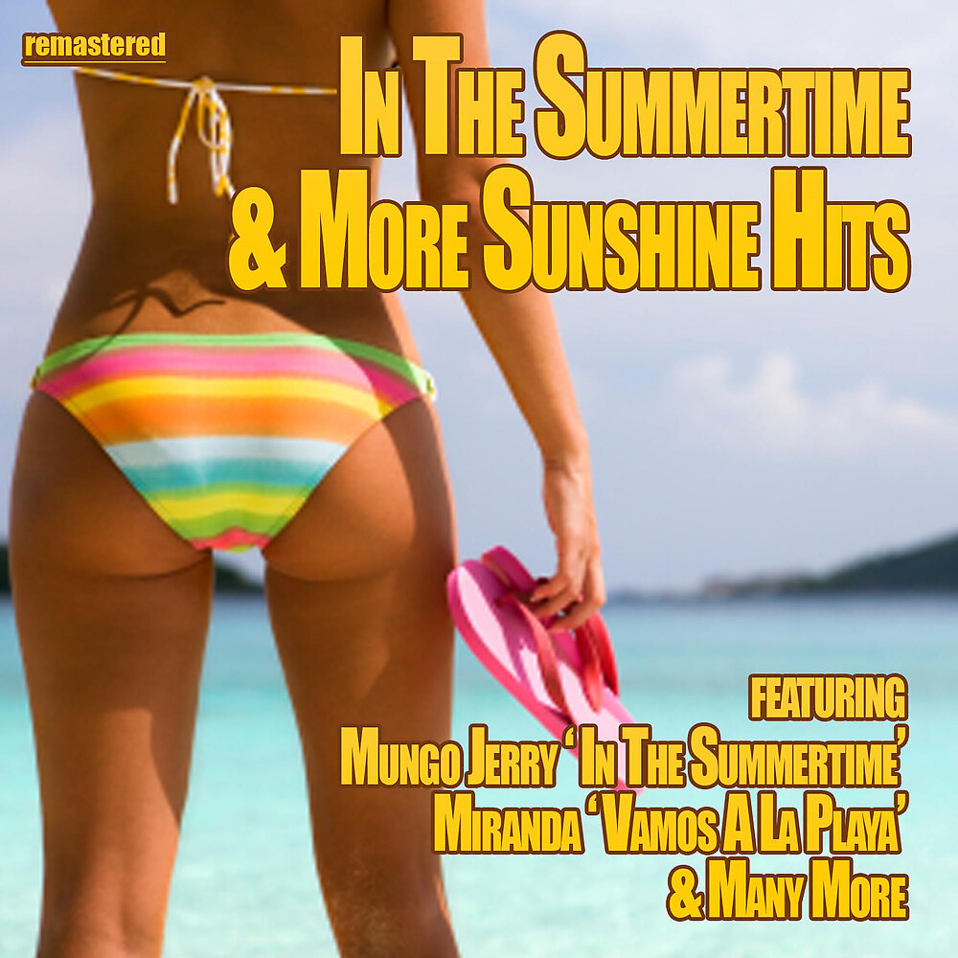 Постер альбома In the Summertime & More Sunshine Hits