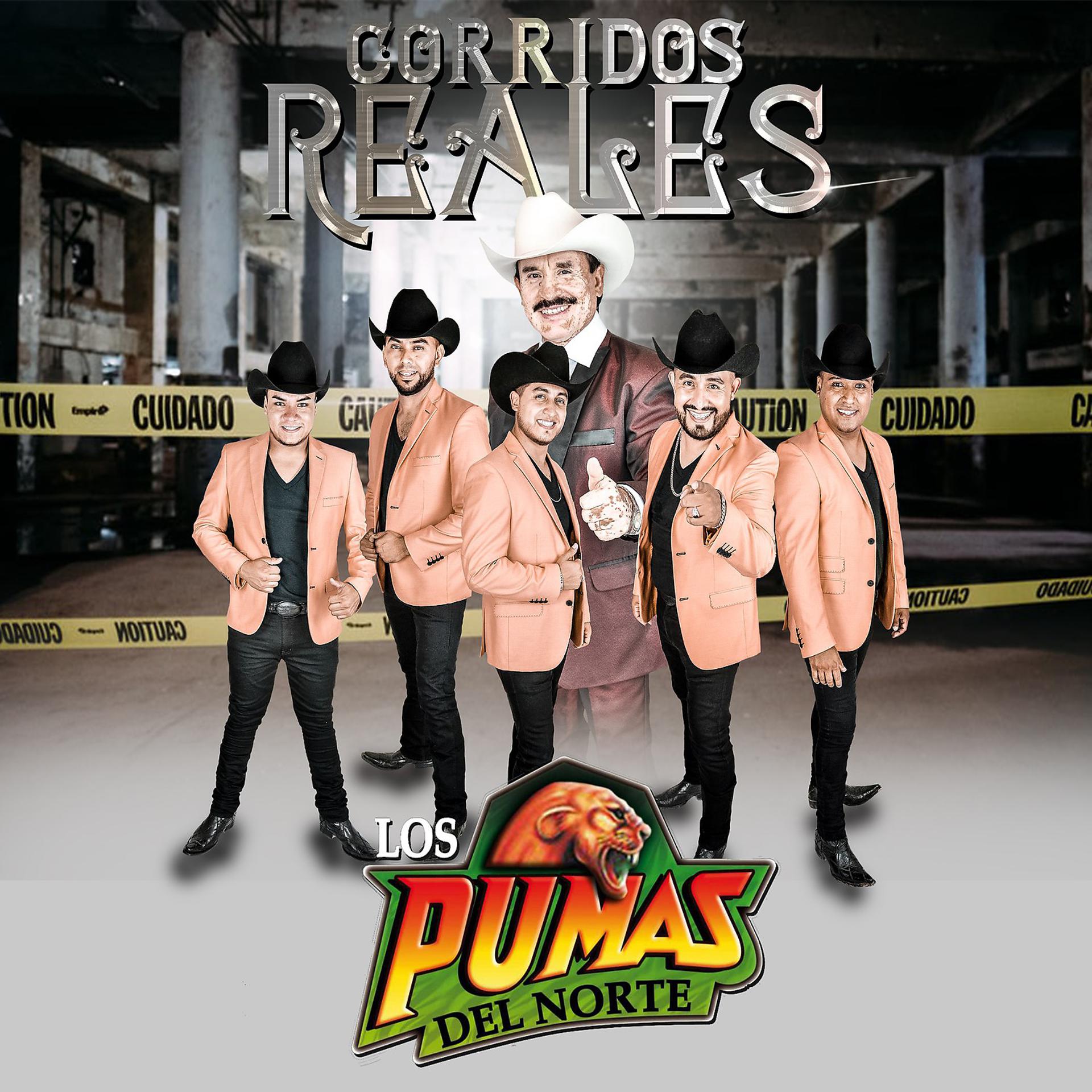 Постер альбома Corridos Reales