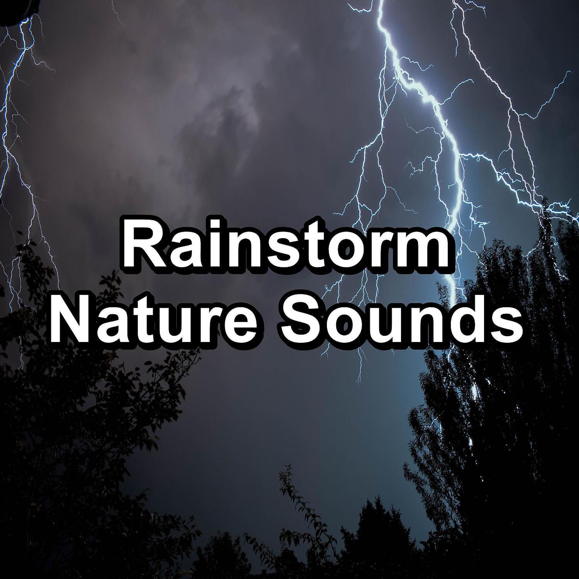Постер альбома Rainstorm Nature Sounds