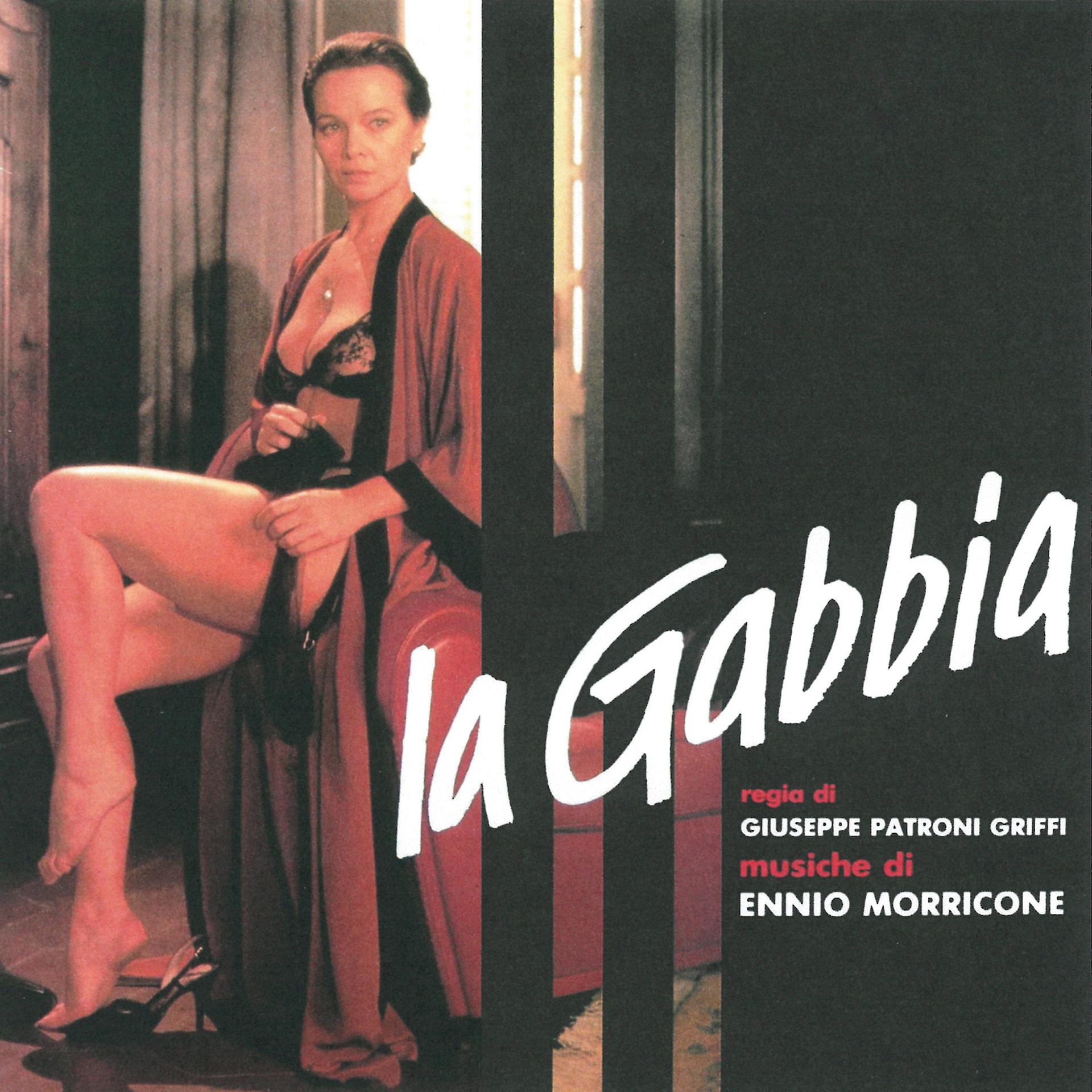 Постер альбома La gabbia