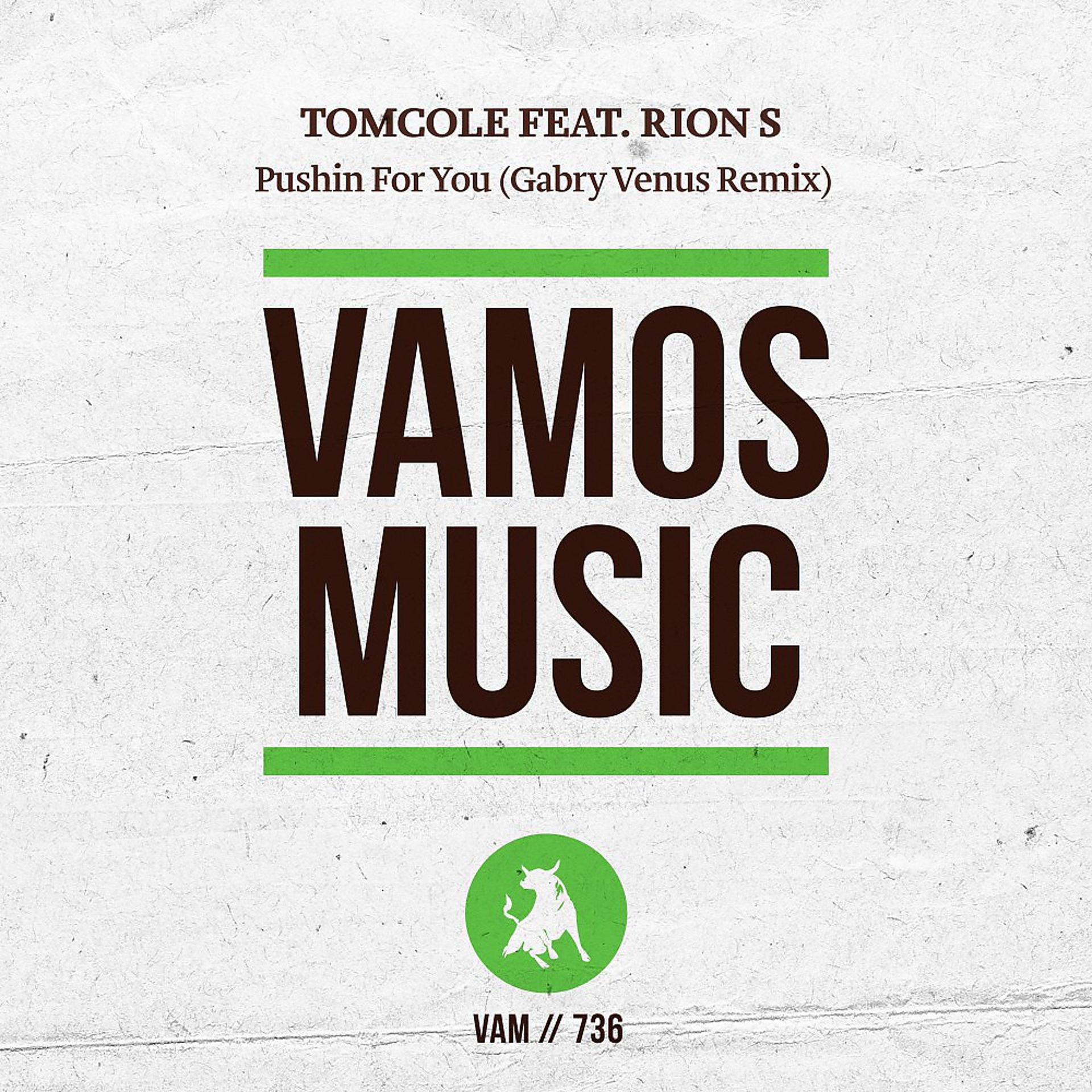 Постер альбома Pushin for You (Gabry Venus Remix)