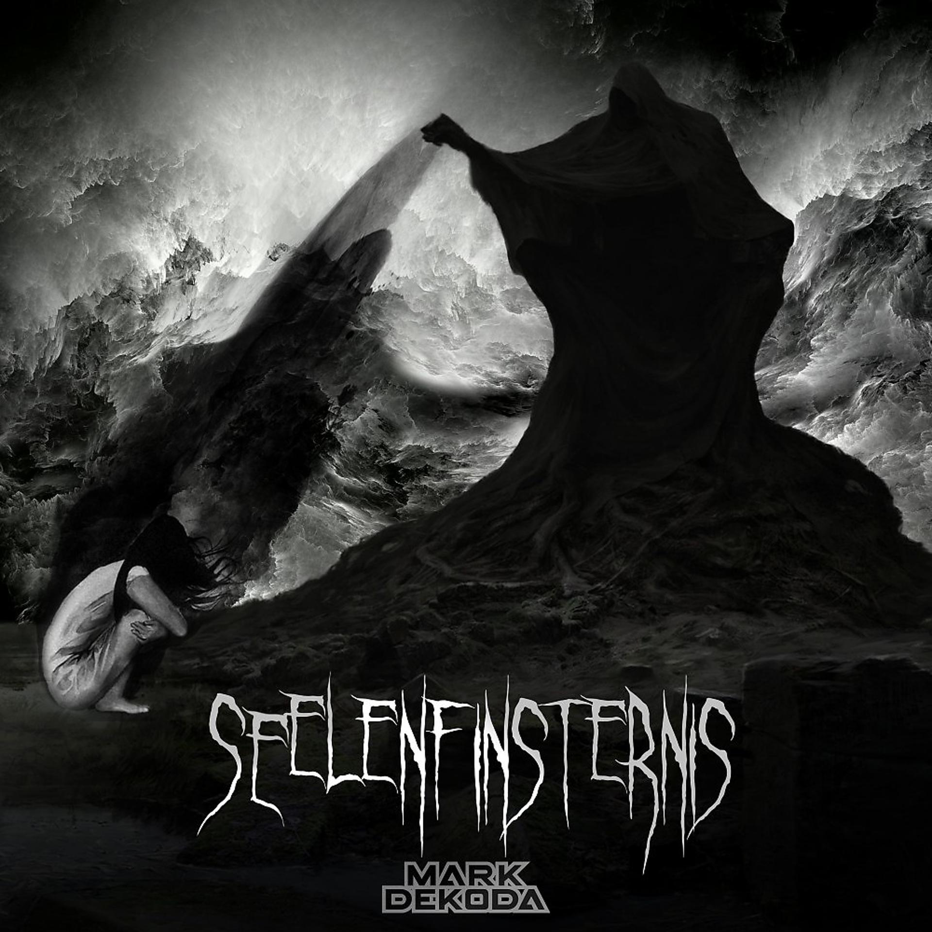 Постер альбома Seelenfinsternis