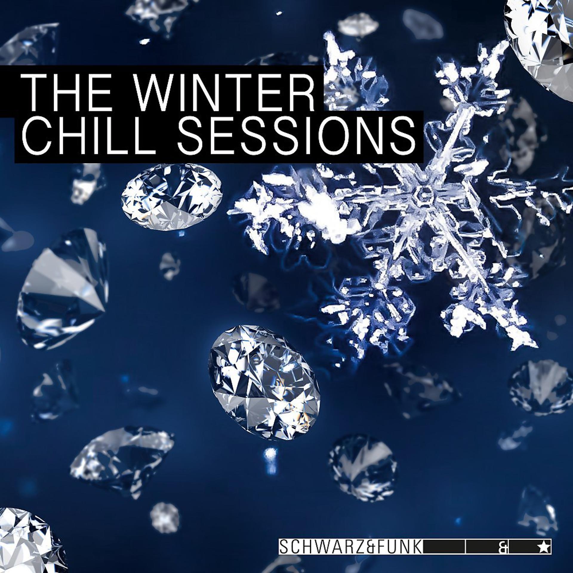 Постер альбома The Winter Chill Sessions