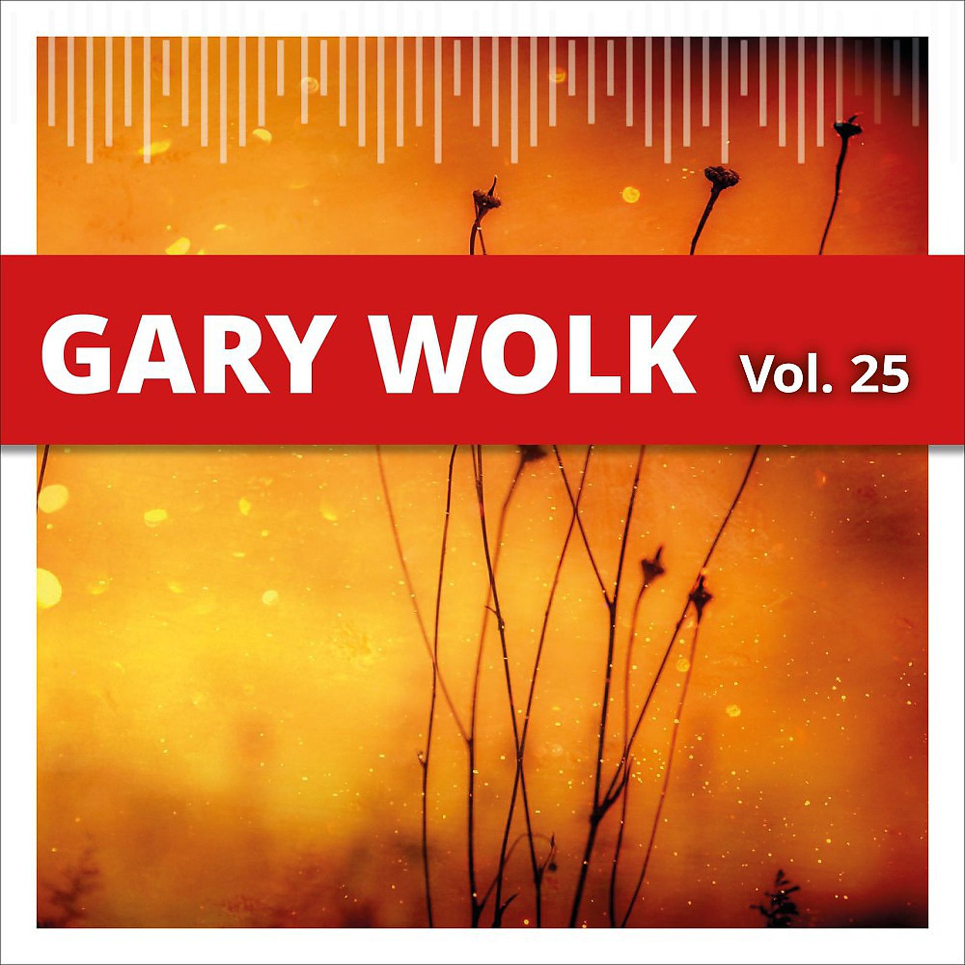 Постер альбома Gary Wolk, Vol. 25