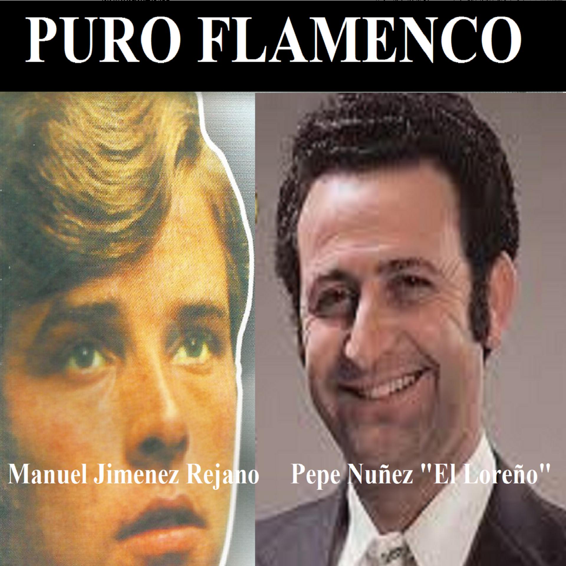 Постер альбома Puro Flamenco
