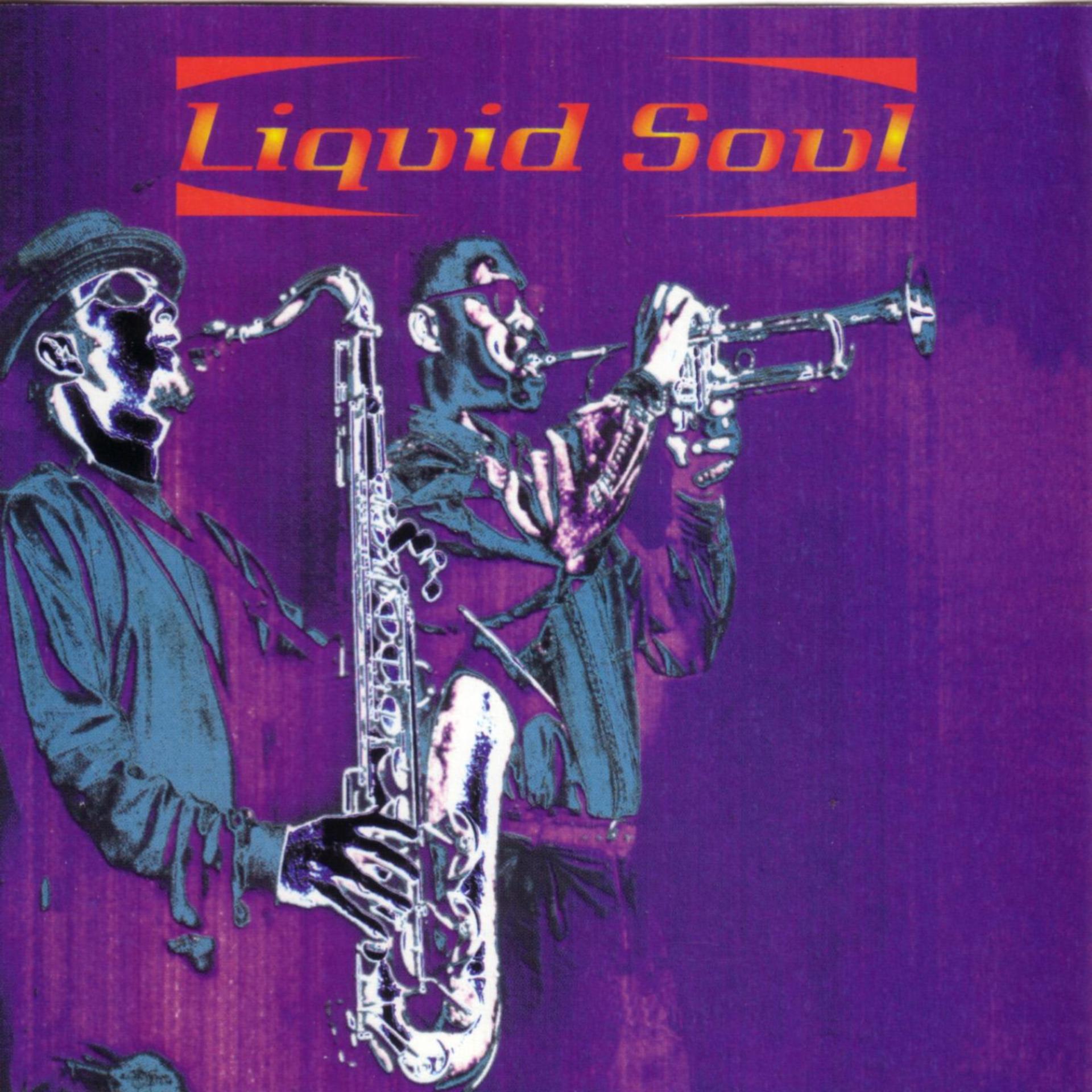 Постер альбома Liquid Soul