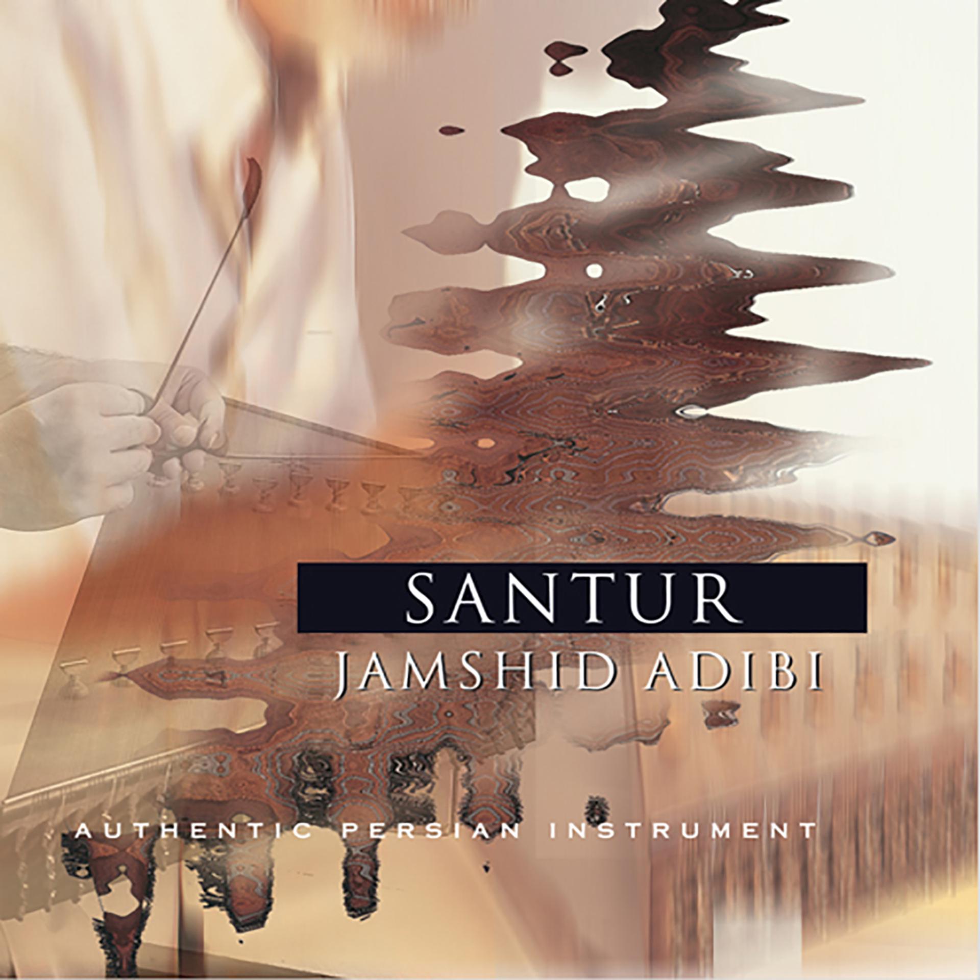Постер альбома Santur / Authentic Persian Instrument