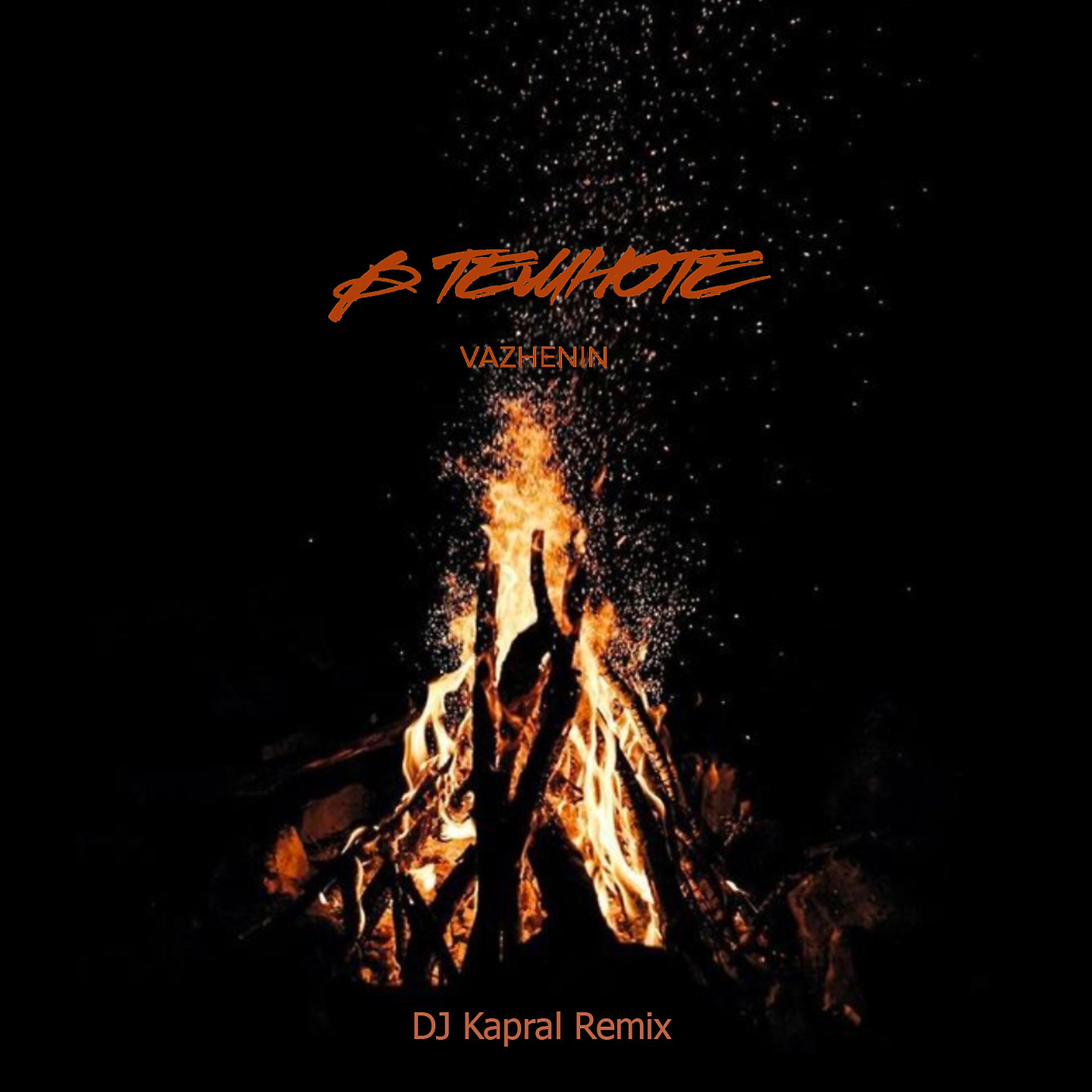 Постер альбома В темноте (DJ Kapral Remix)